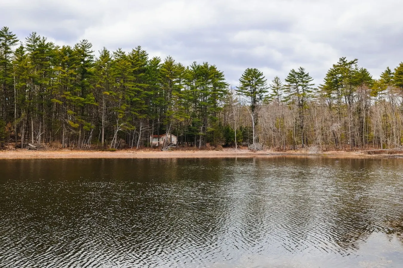 Long Pond Cabin Retreat 8