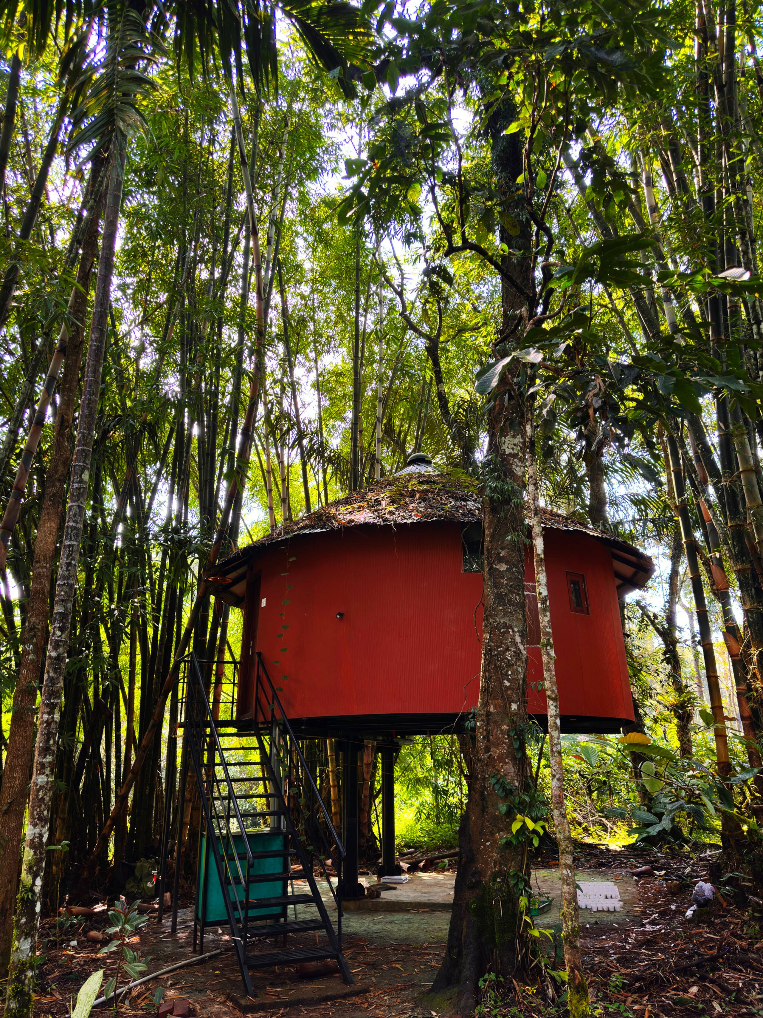 Esalen Coorg 18