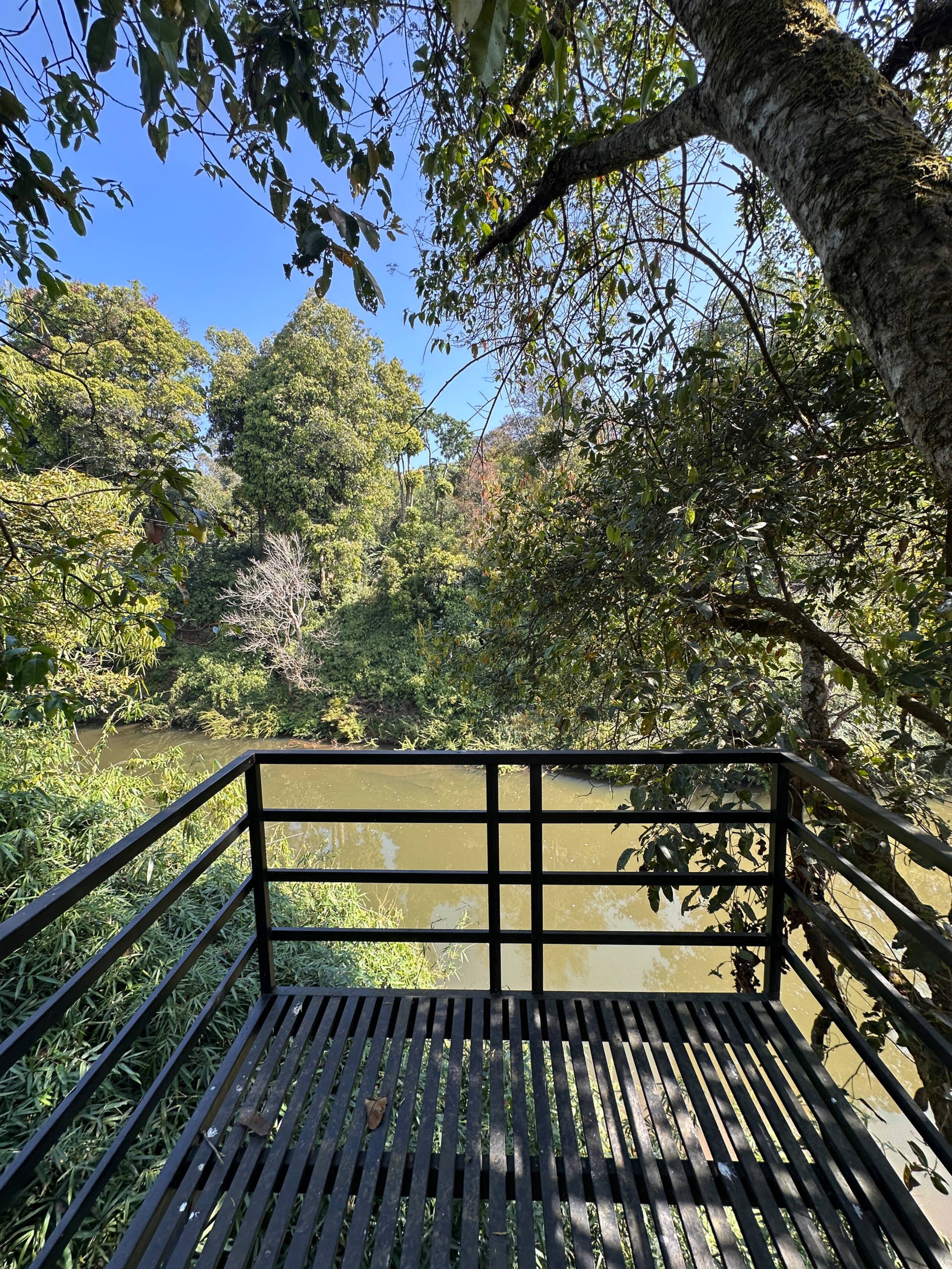 Esalen Coorg 24