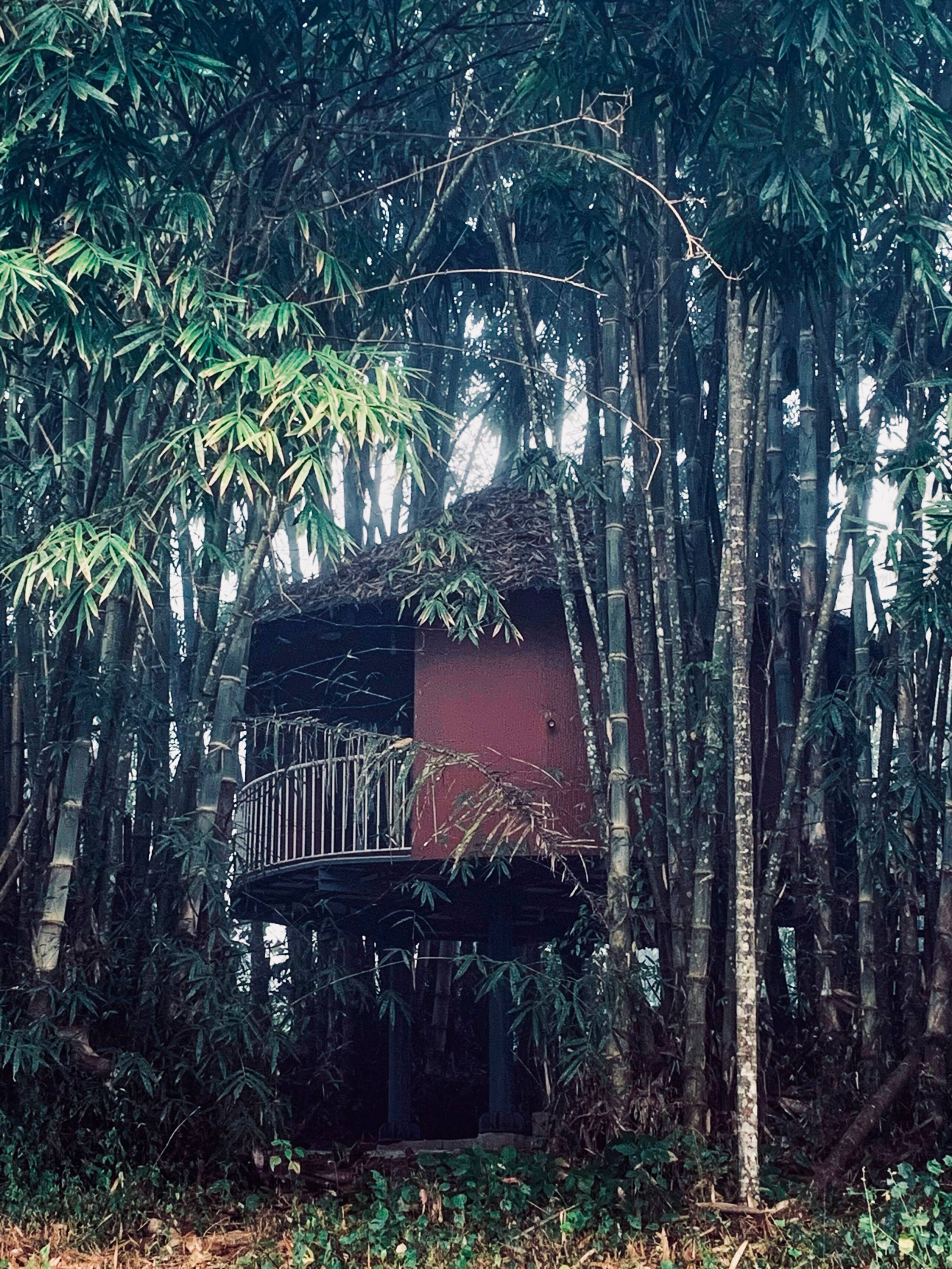 Esalen Coorg 25