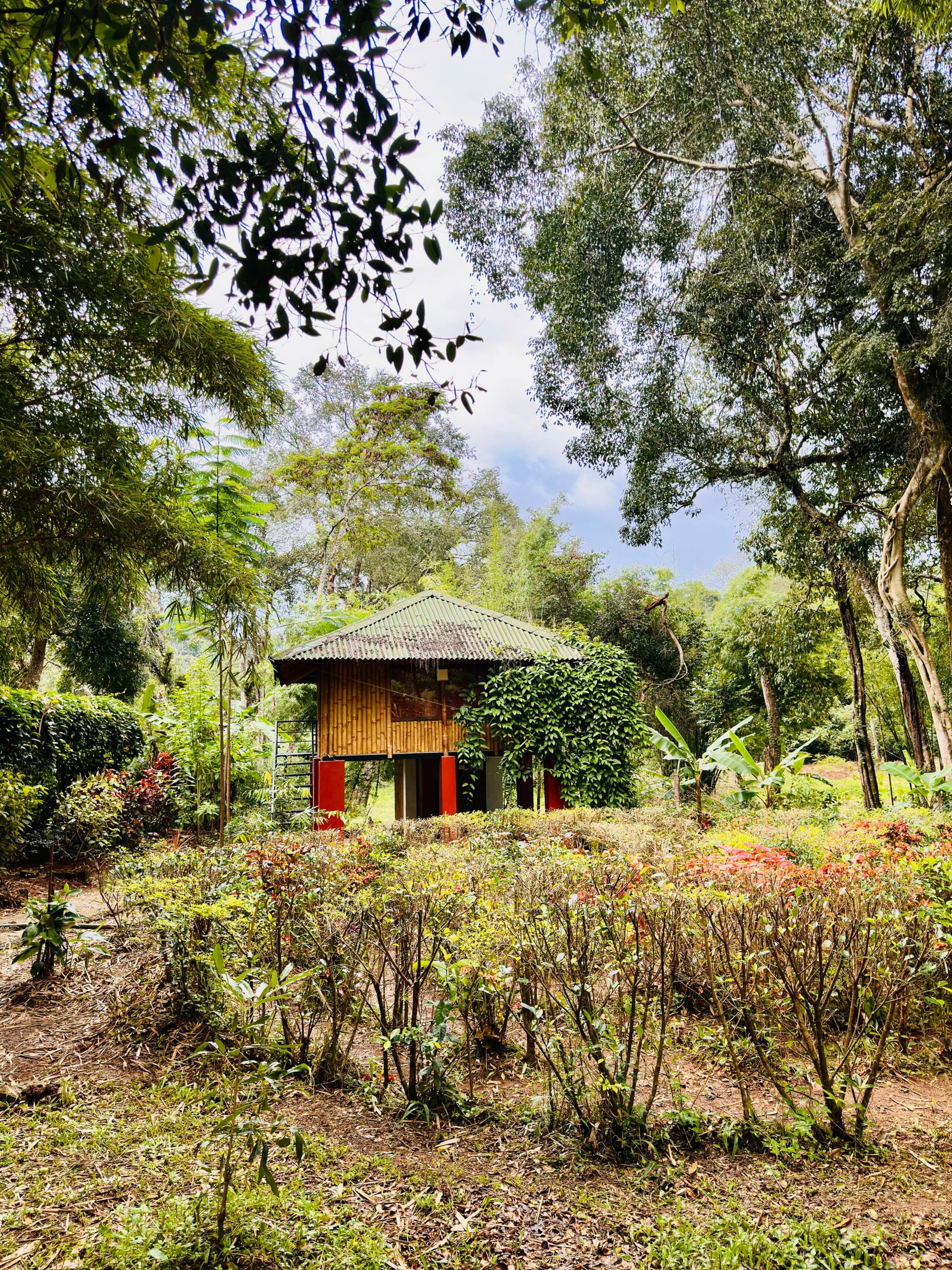Esalen Coorg 8