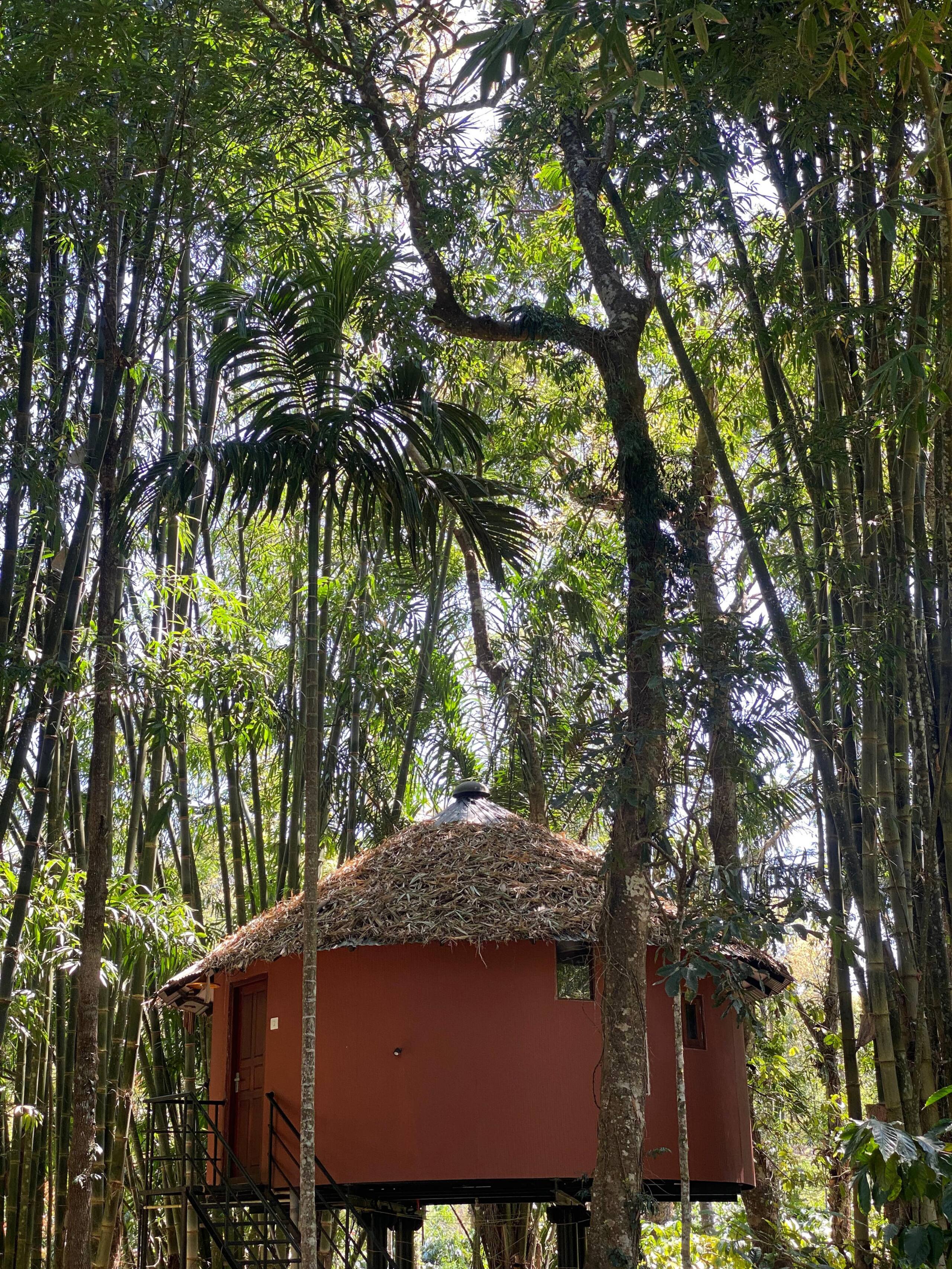 Esalen Coorg 14