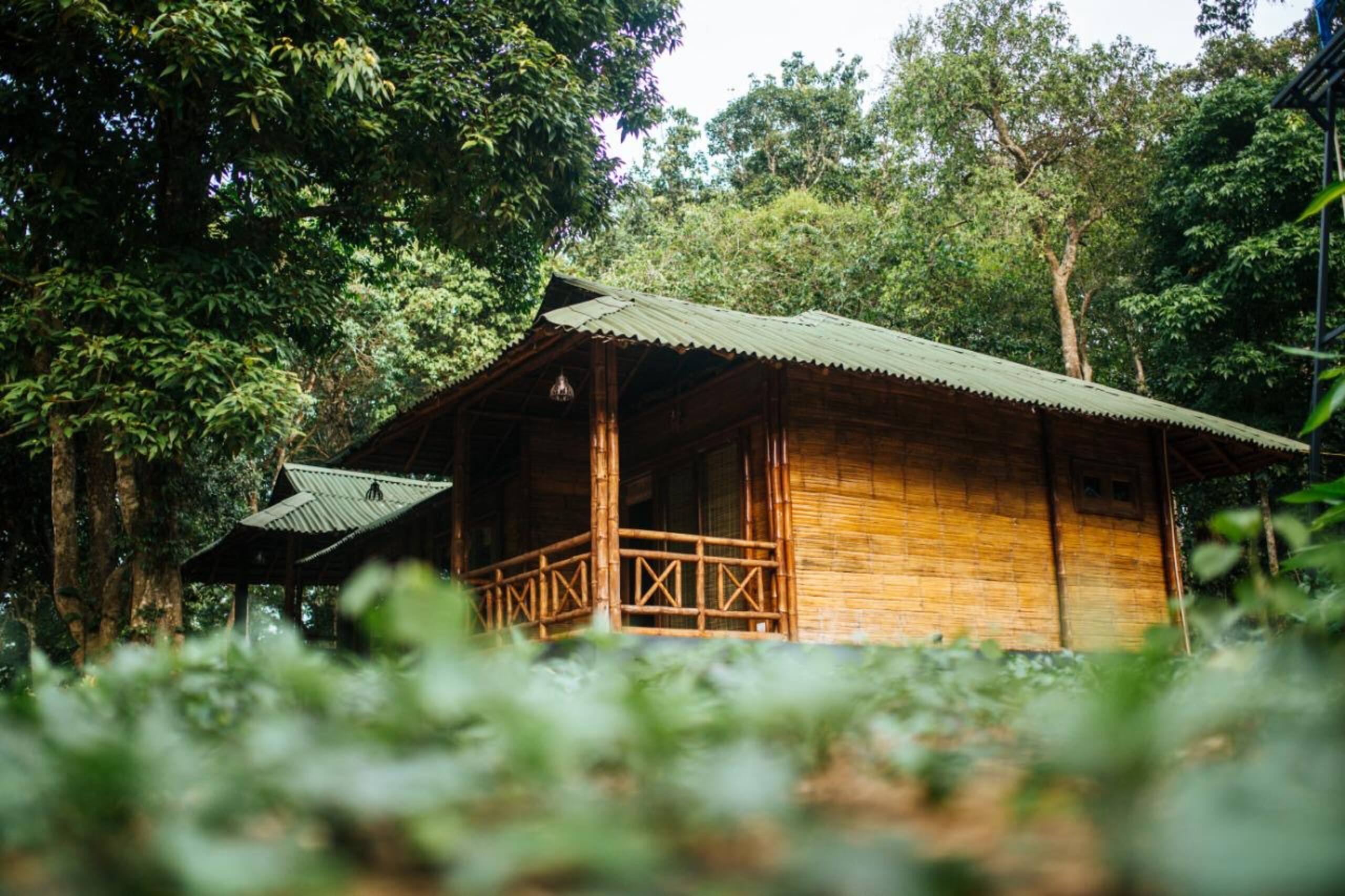 Esalen Coorg 23