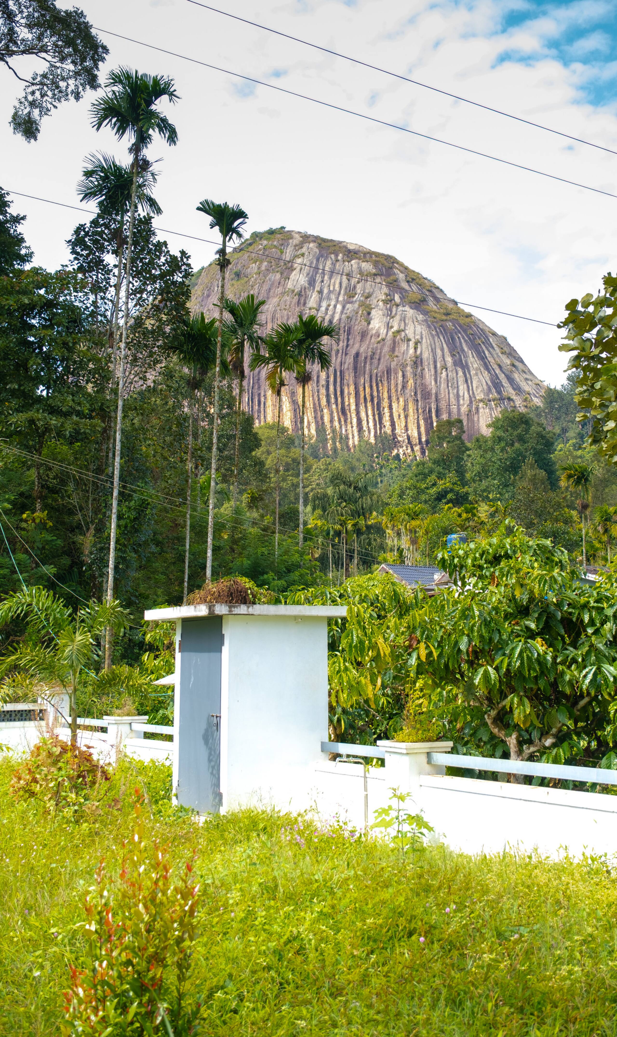 Villa in Wayanad by Canzia Living 36