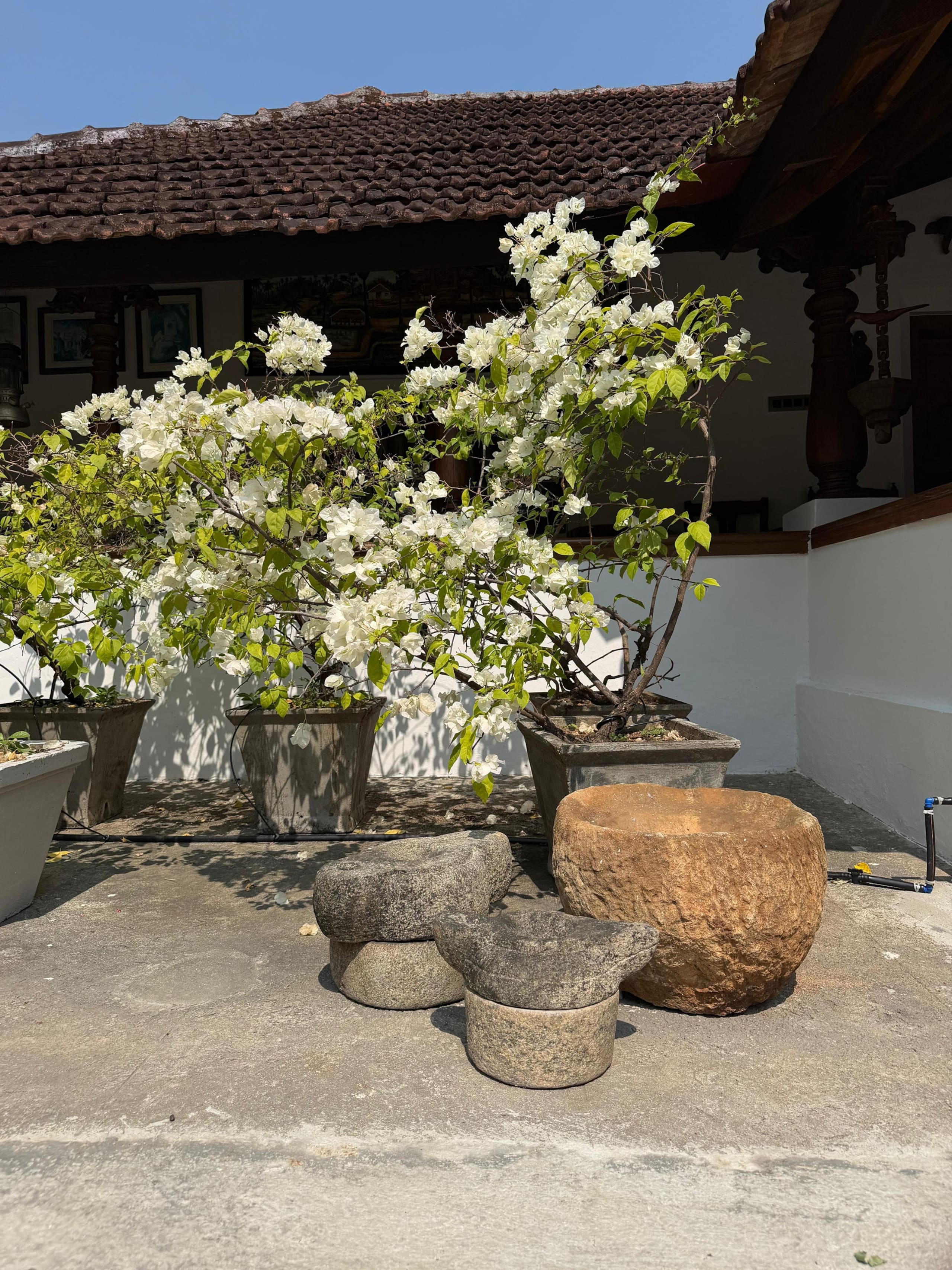 Griha | 1BR Homestay in Alappura | by clayfields 22