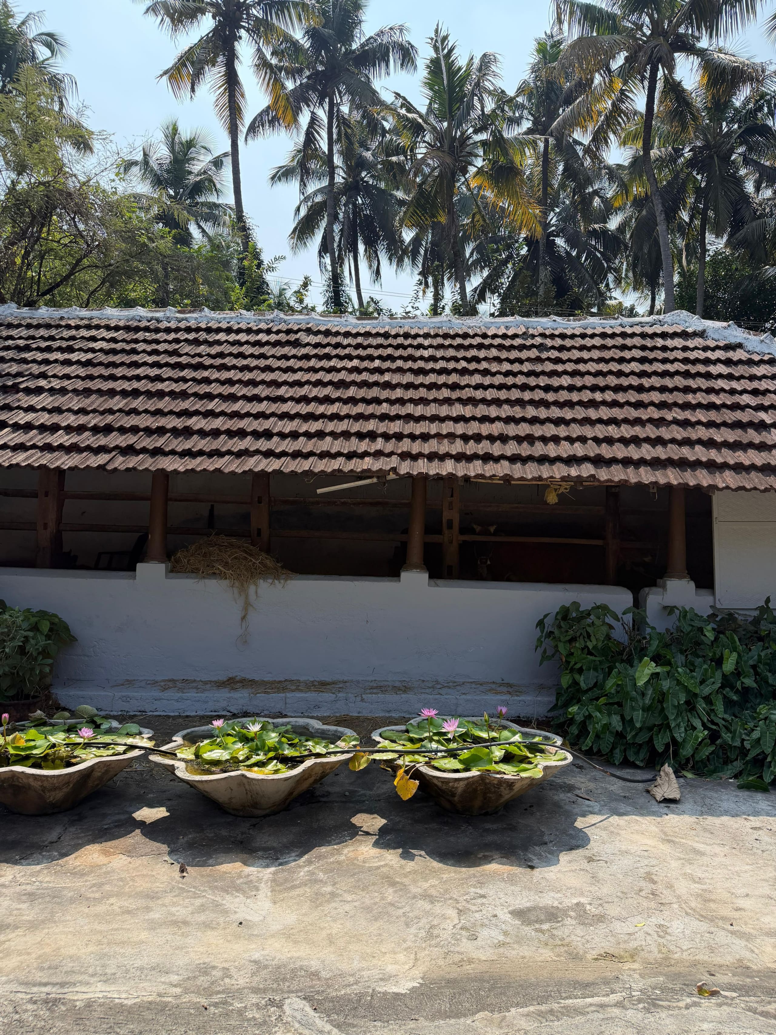 Griha | 1BR Homestay in Alappura | by clayfields 23