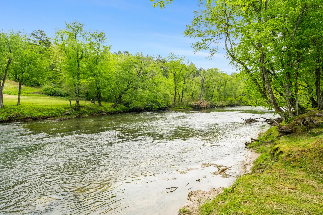 Home & Carriage House, River Access, 5 min from Downtown — photo 4