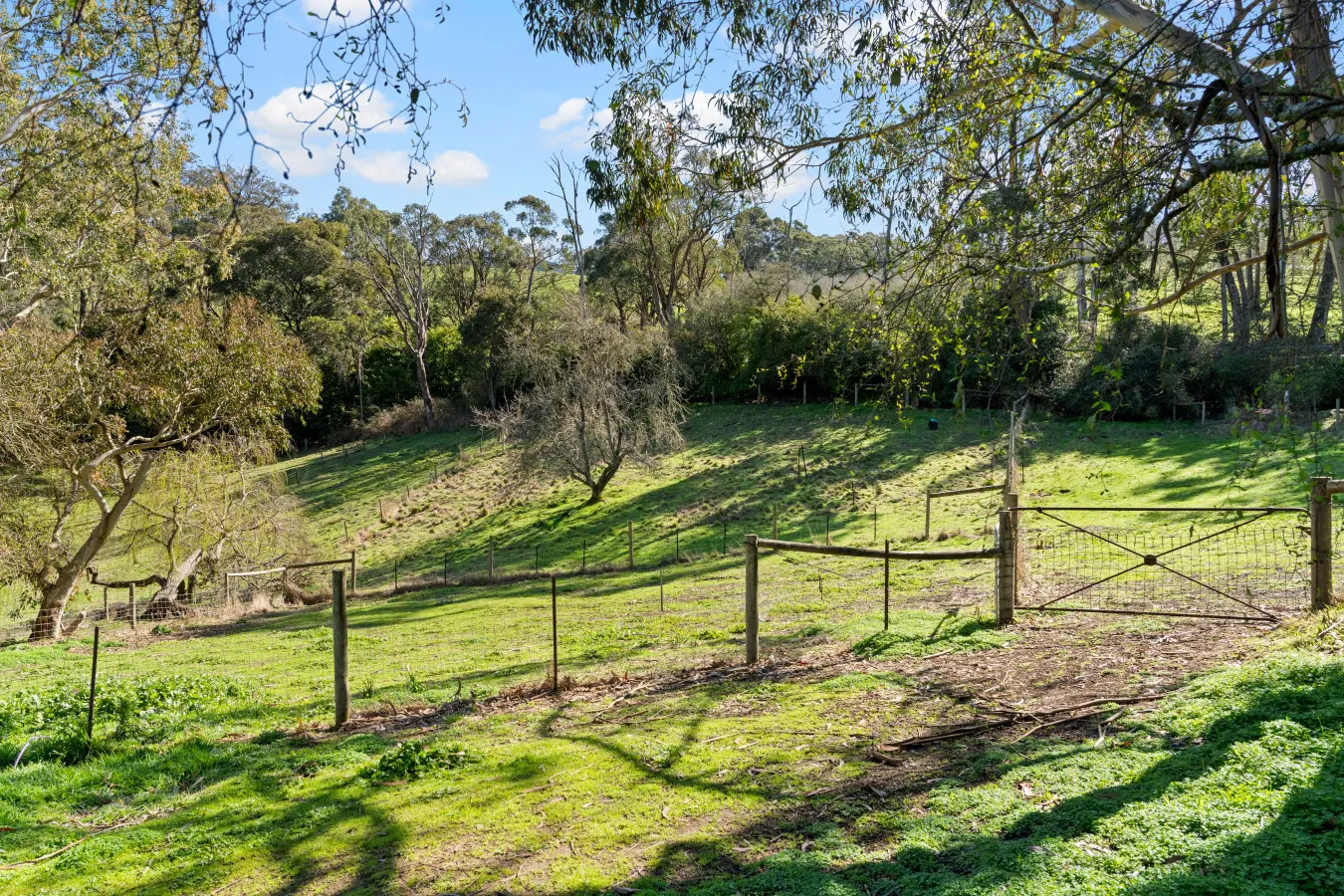 Orchard Cottage—A Leafy Peaceful Retreat with Spa 20