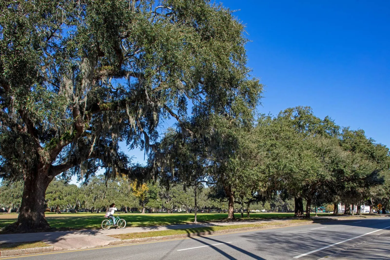 107 E Waldburg Huge 5 bed, 5 bath in Historic Downtown Savannah 11