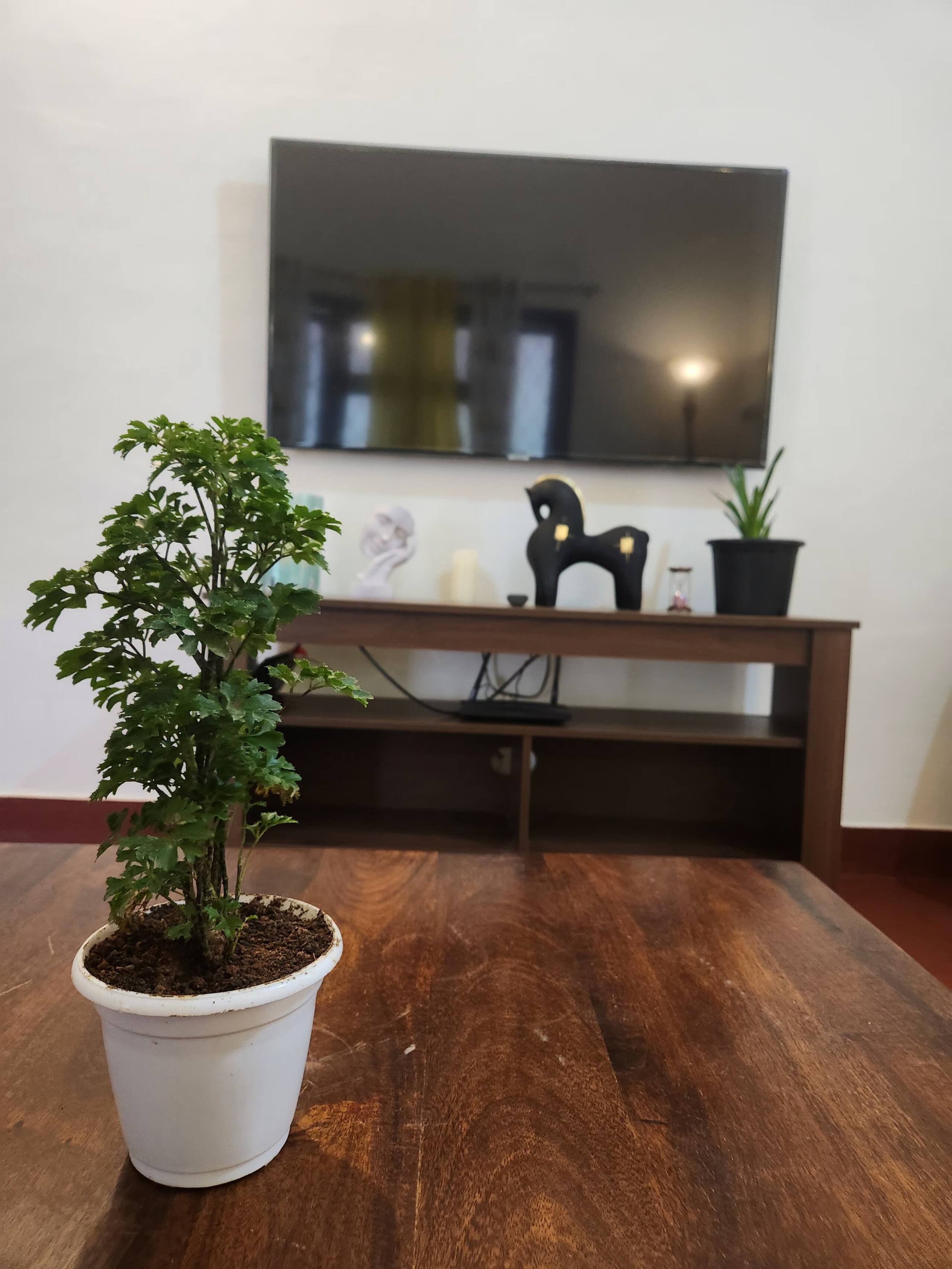 MyYearlyStay in Udupi - Colonial 28