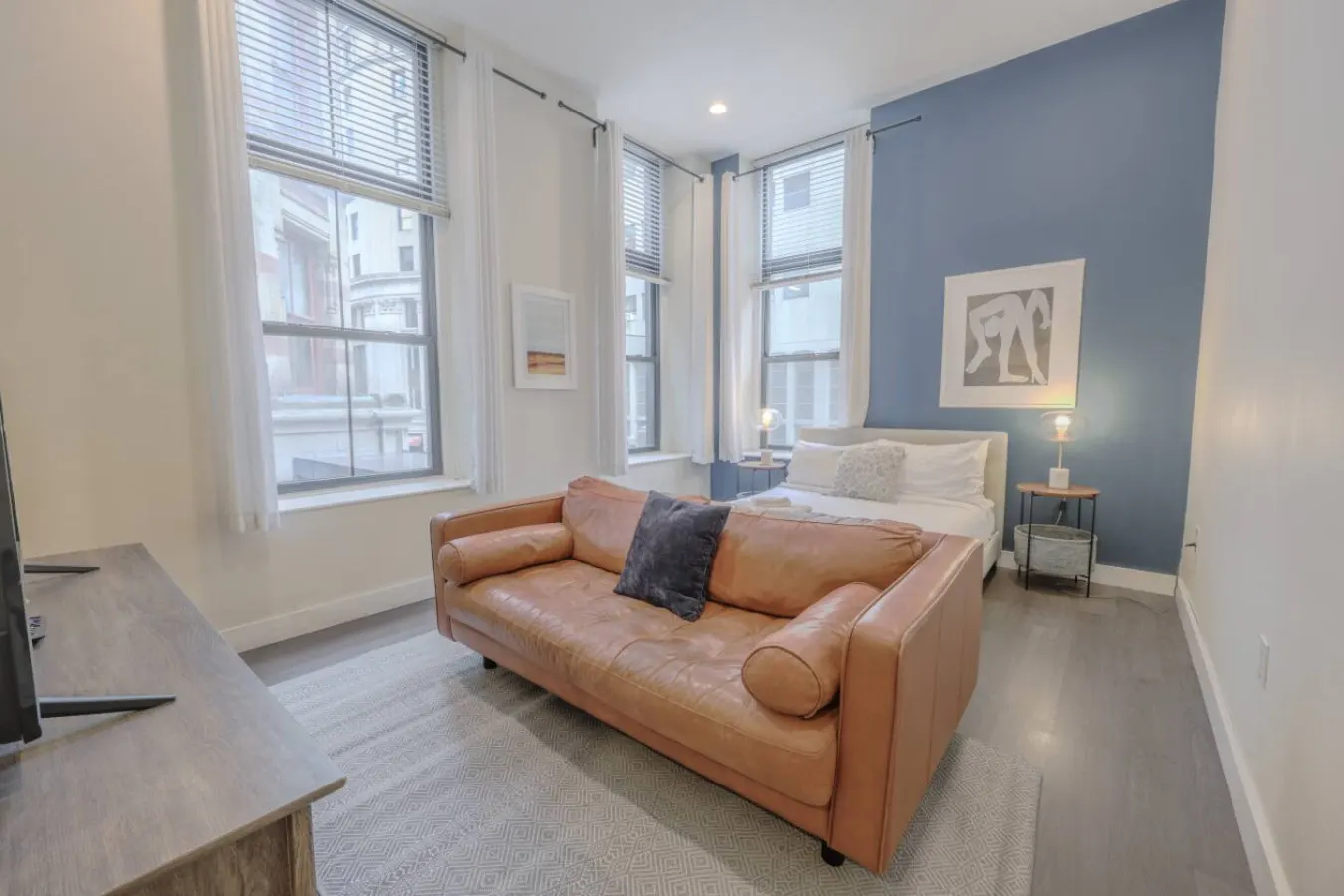 Pet Friendly Studio Walk to MGH 1