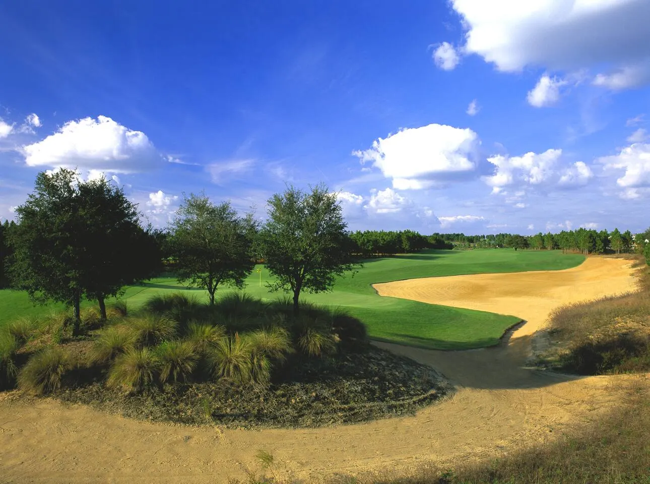 14 Room Disney Estate Golf Resort 9