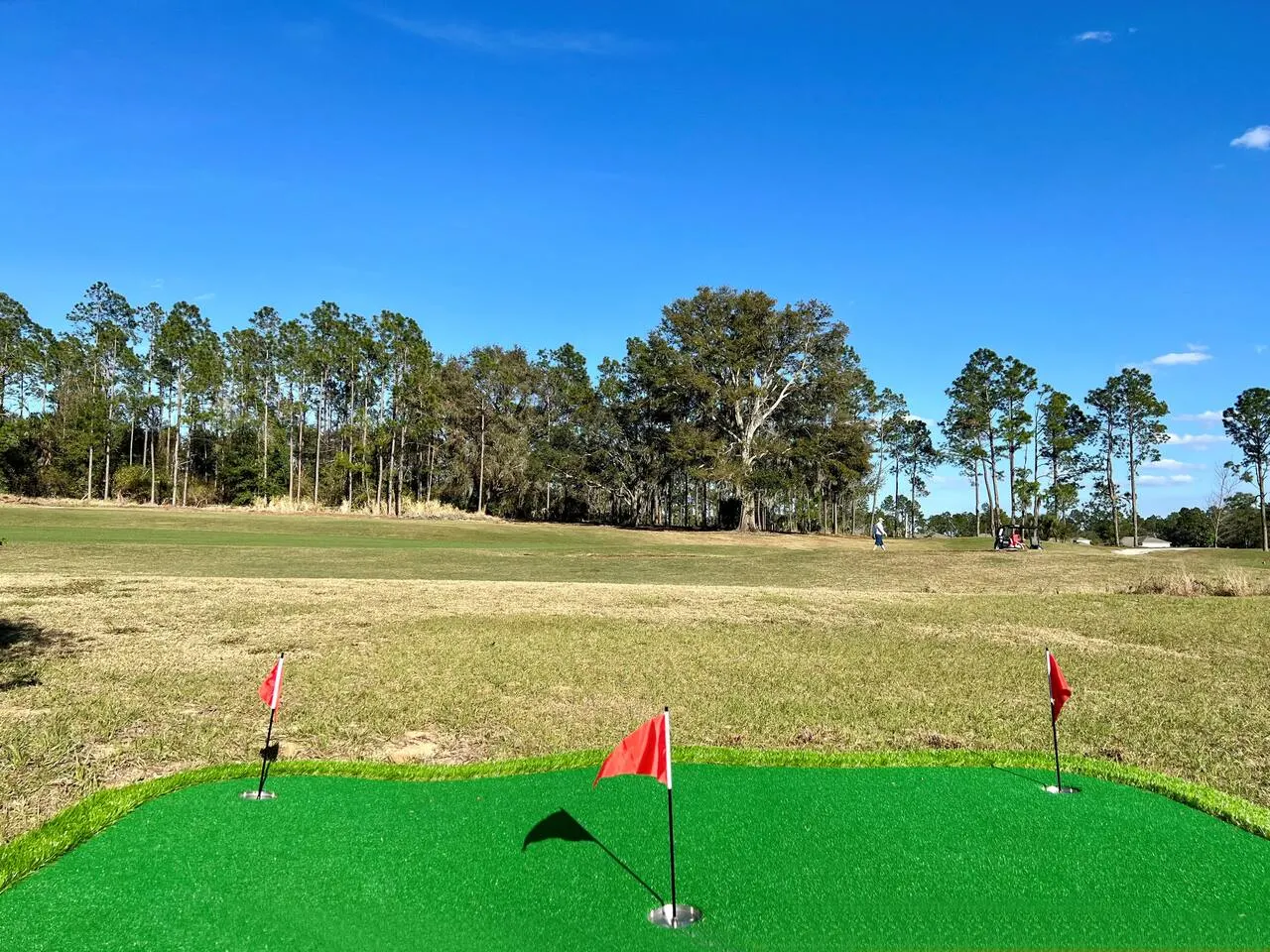 14 Room Disney Estate Golf Resort 19