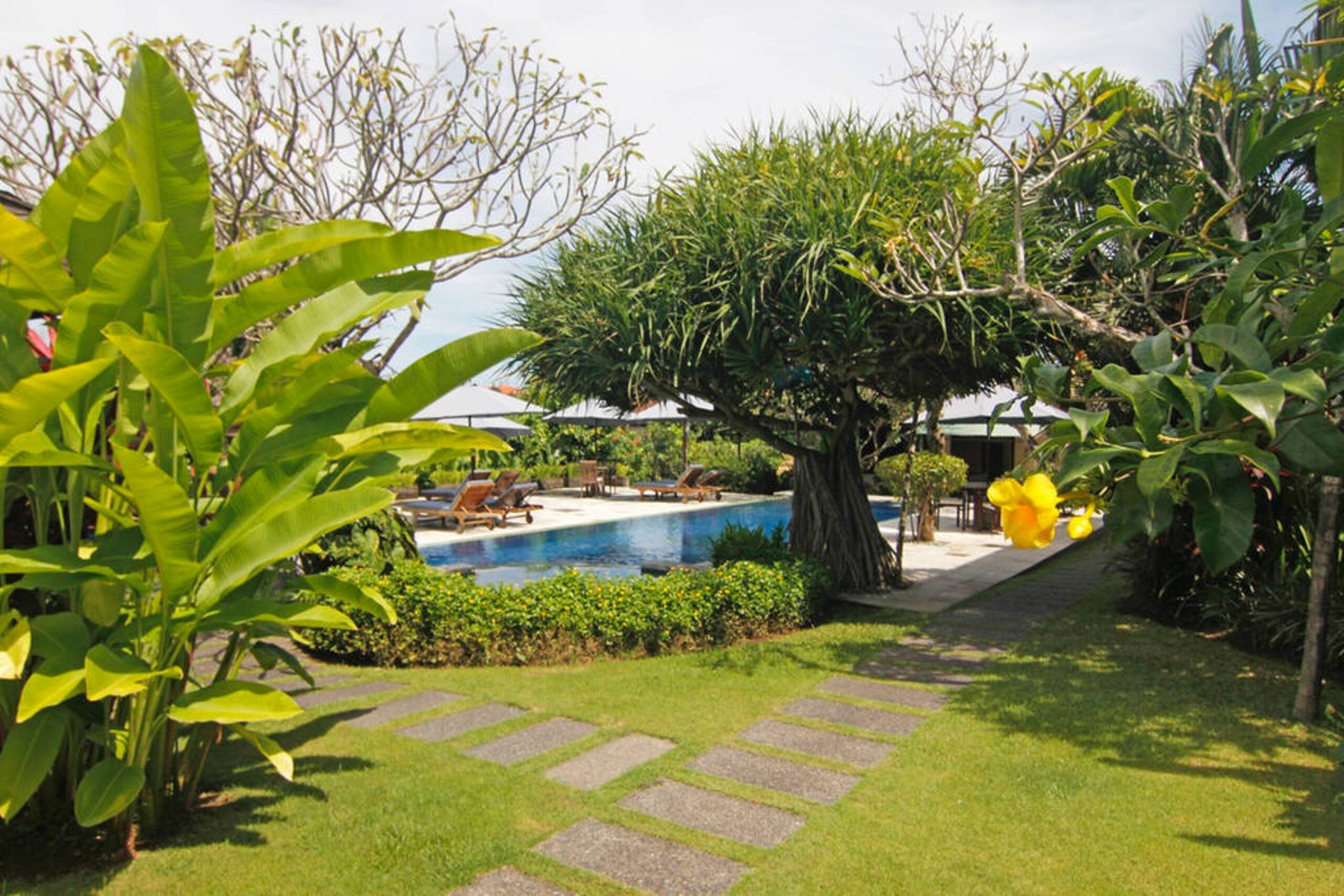 Surrounded by greenery in the heart of Canggu — photo 3