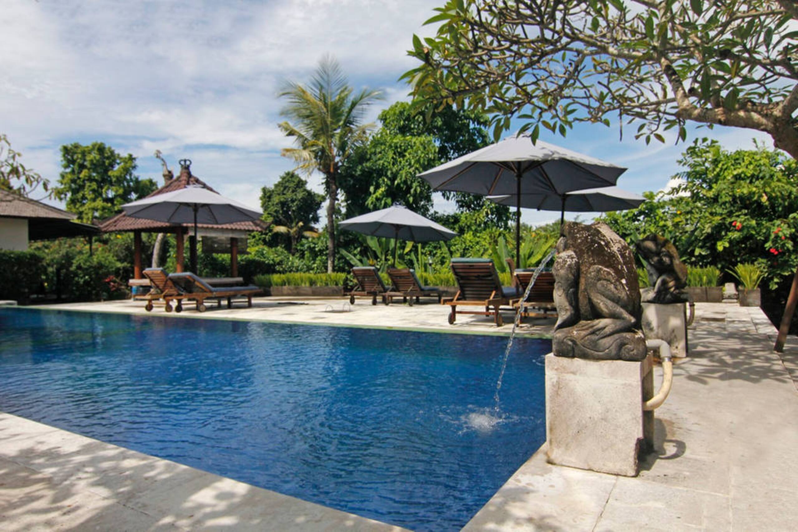 Surrounded by greenery in the heart of Canggu 6