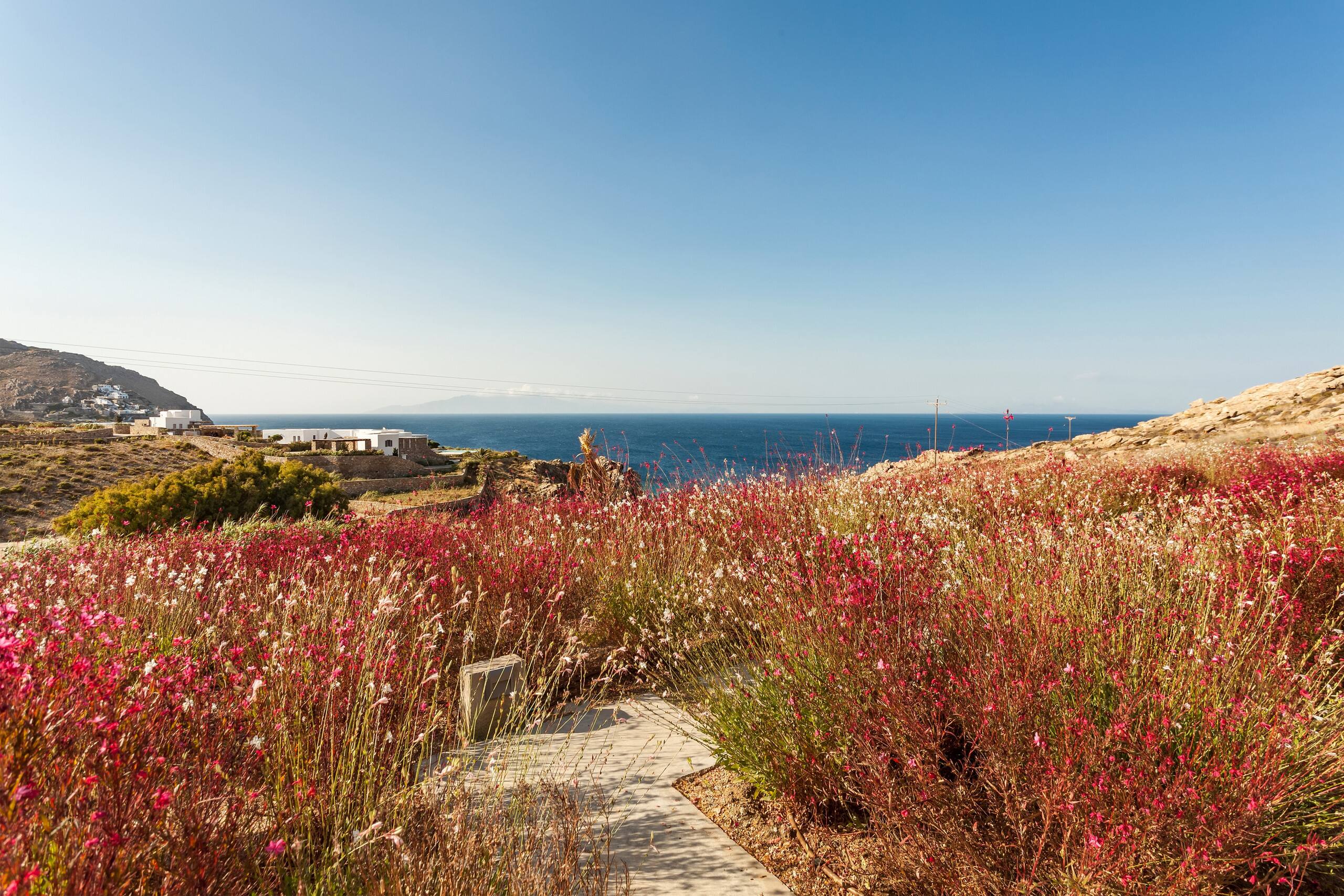 Anarina Luxury Villa Mykonos Elia Beach 33