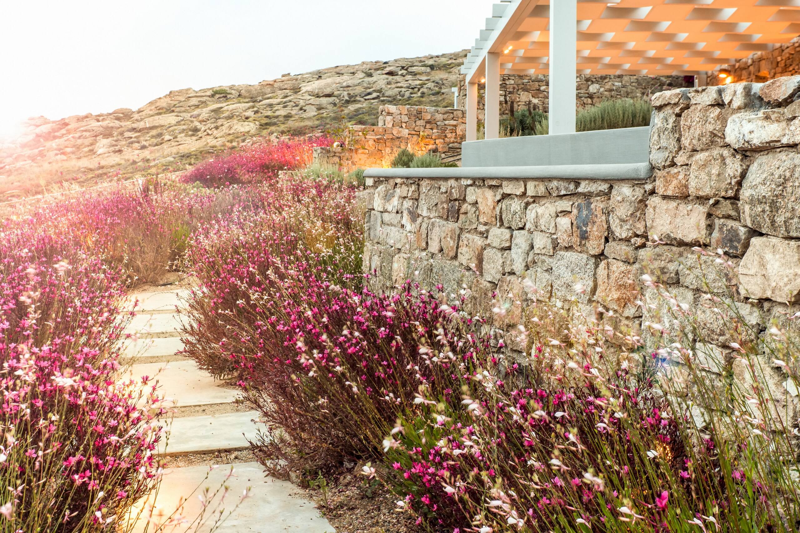 Anarina Luxury Villa Mykonos Elia Beach 31