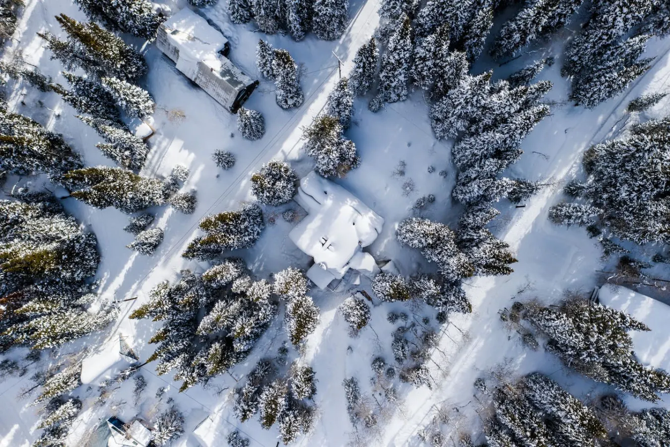 Silver Fork Mountain Retreat- Mins to Ski Resorts! — photo 2