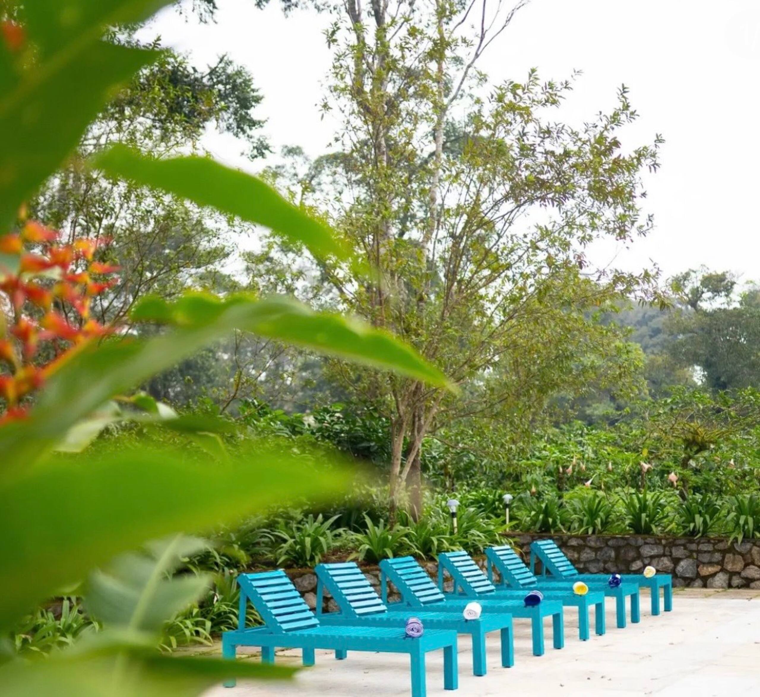Magnolia Plantation Stay Coorg 23