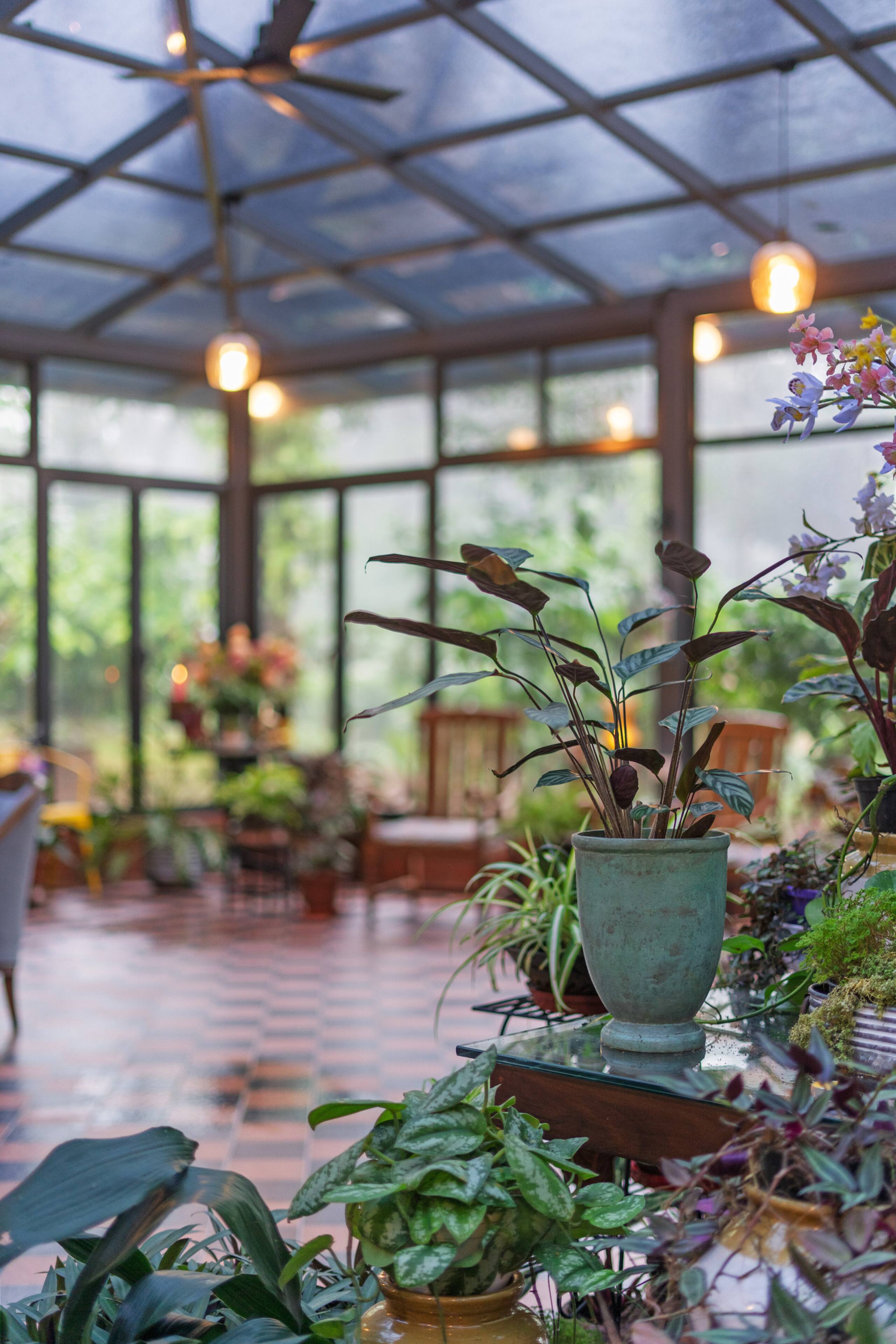 Magnolia Plantation Stay Coorg 29