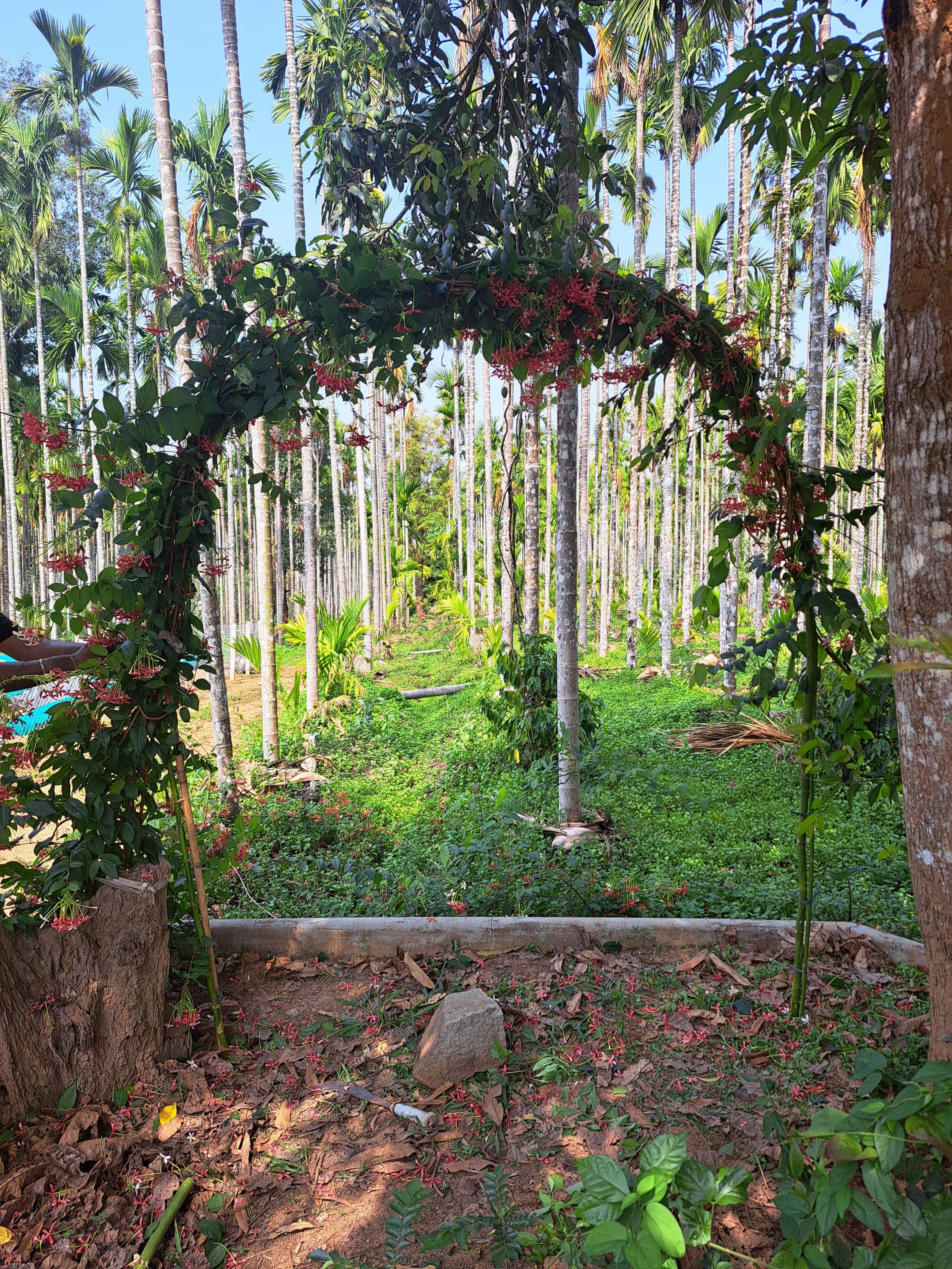 Kakal Farmhouse 15