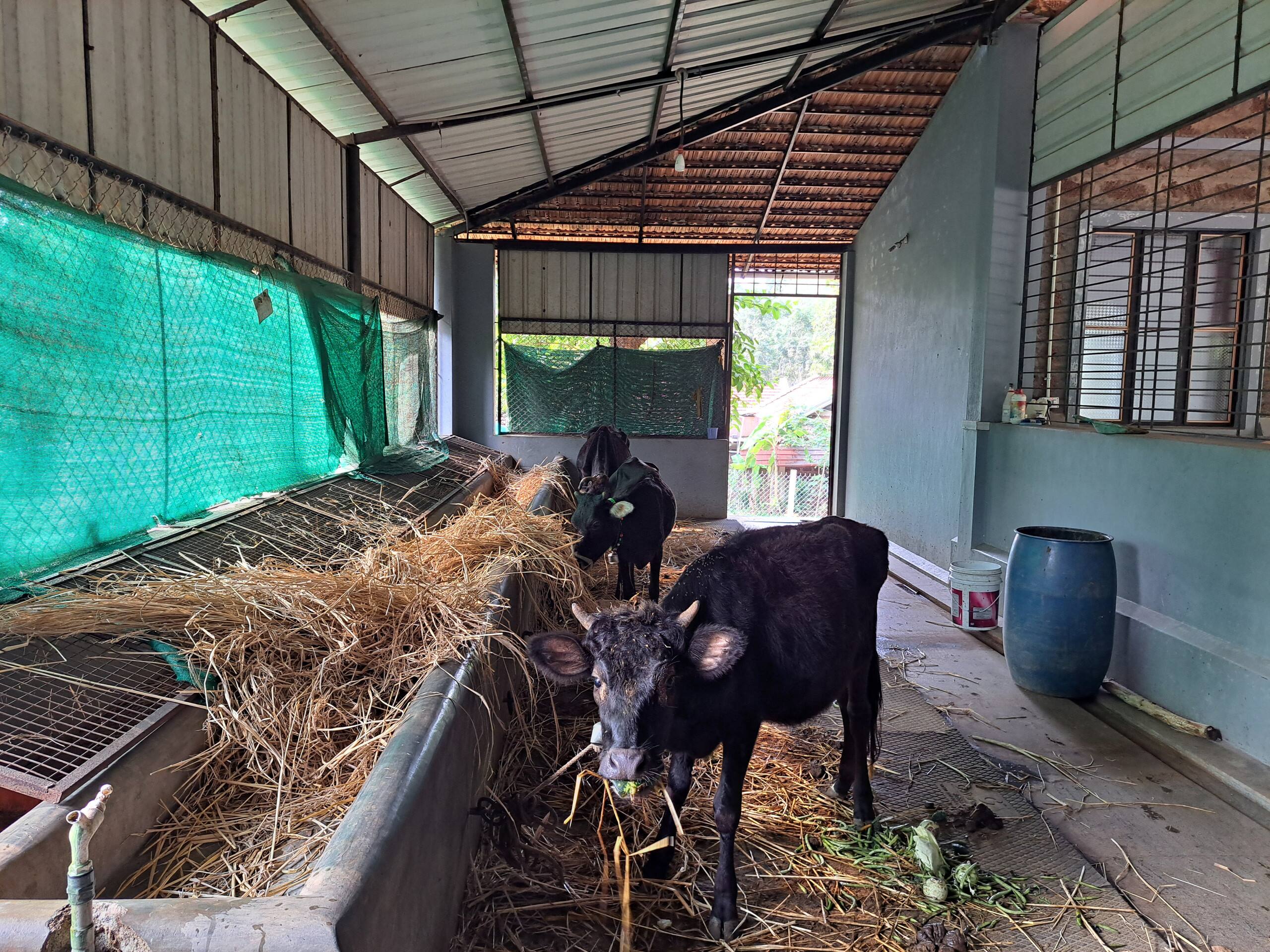 Kakal Farmhouse 19