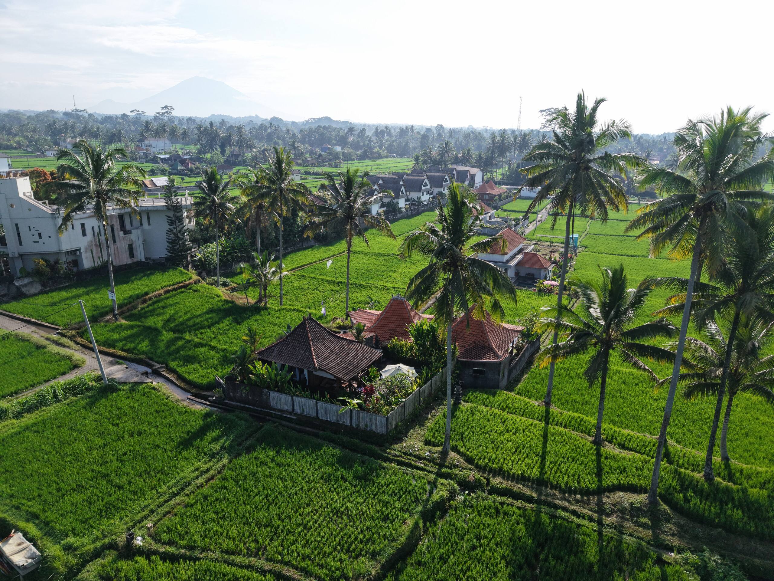 Gedong Batu Villas private villa with pool — photo 4