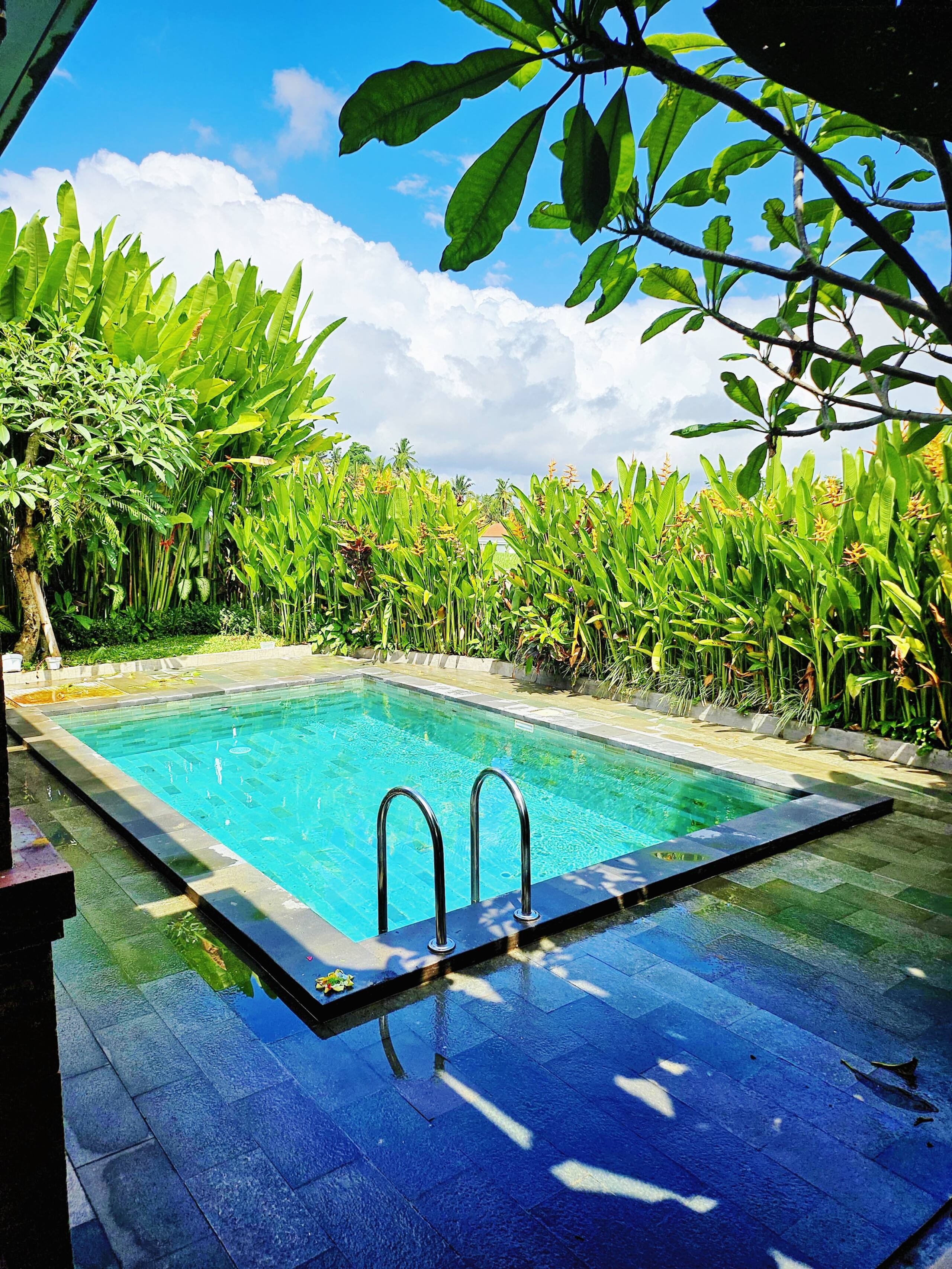 Umah Teba Rice Field View Private Villa with Pool — photo 3