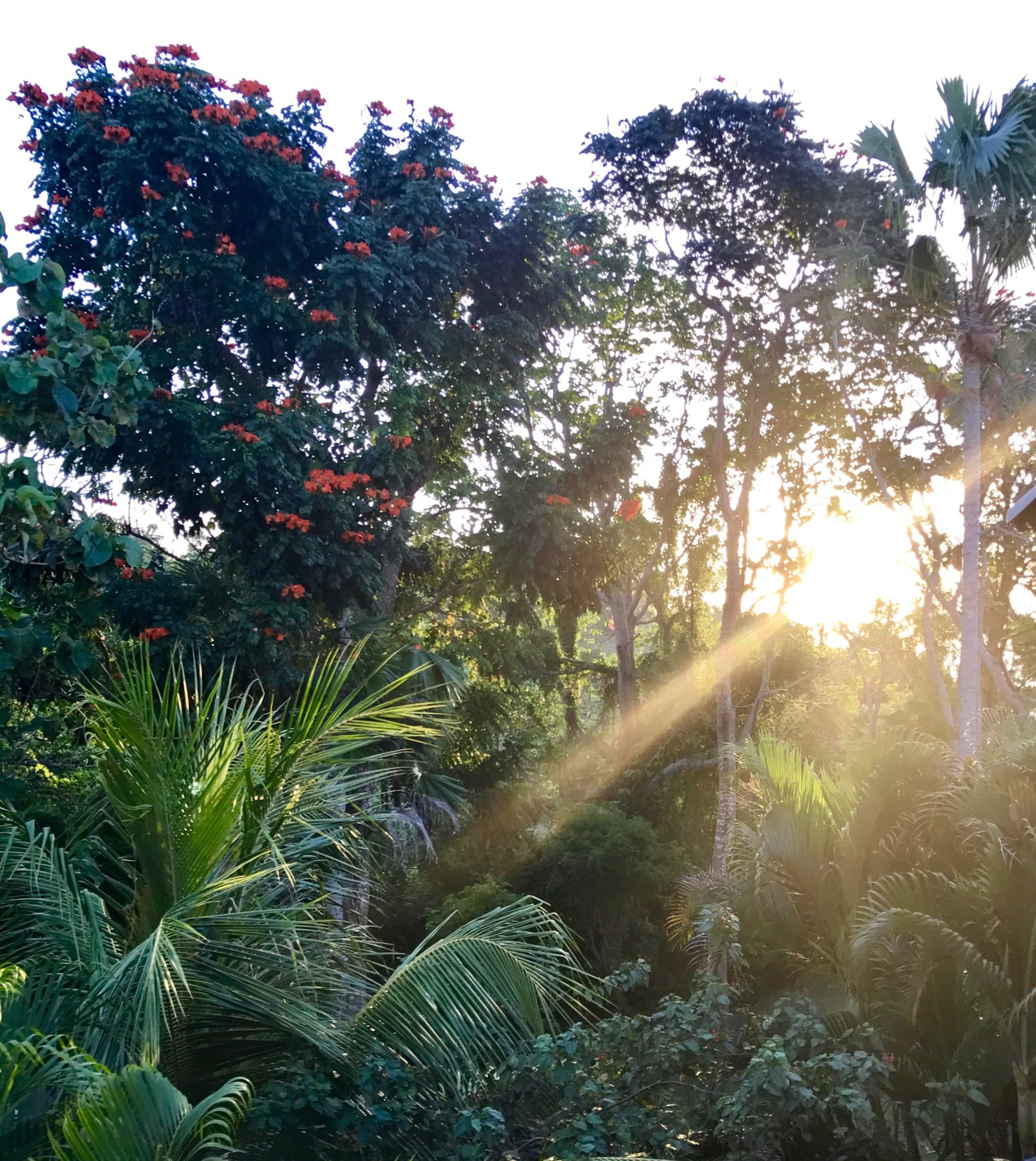 A Stunning Private Estate in Uluwatu, Bali 17