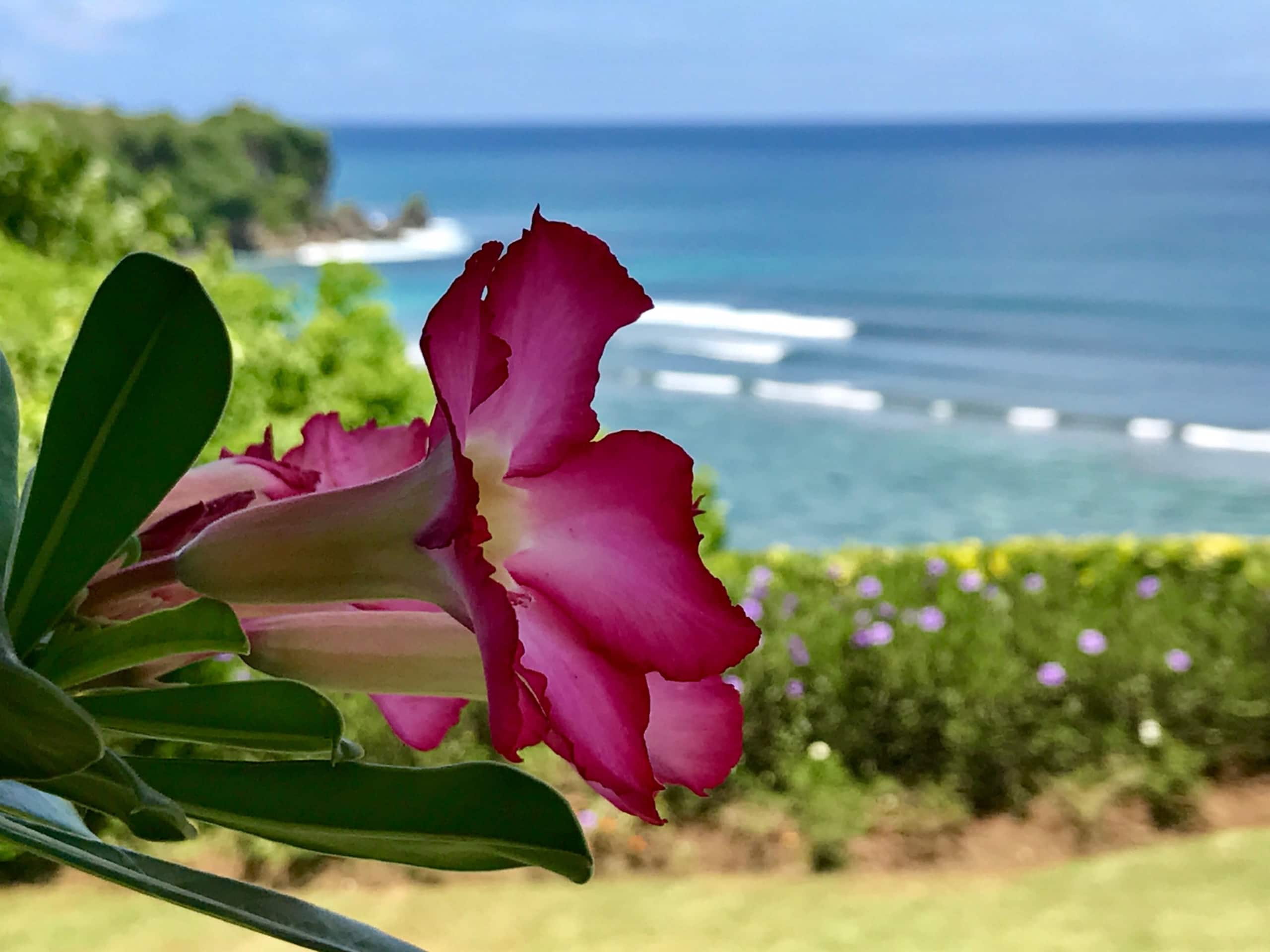 A Stunning Private Estate in Uluwatu, Bali 32
