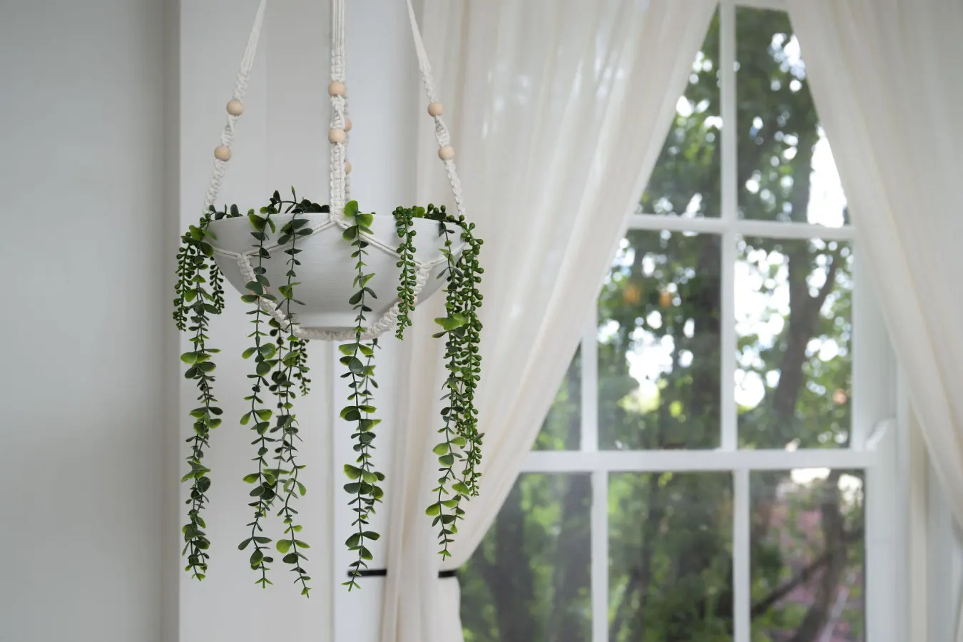 Airy, Elegant 1bd Apartment, Steps from Everything 12