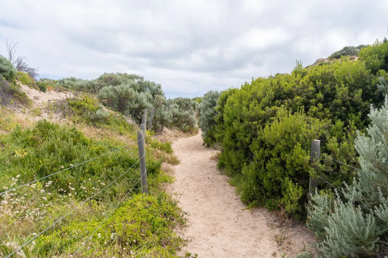 Sand & Surf at Goolwa Beach 6