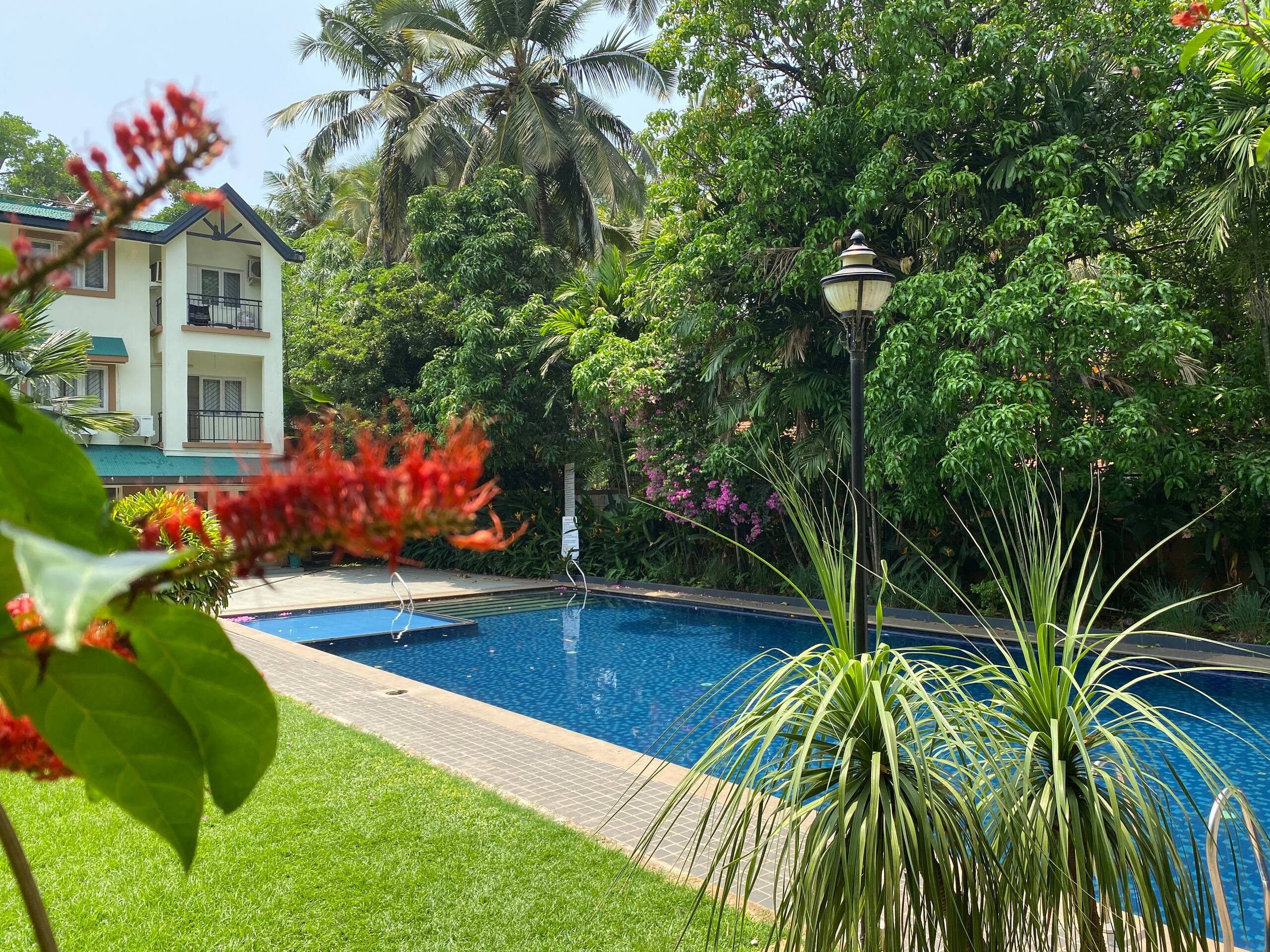 101 Flamingo by Nirvana Abode 16