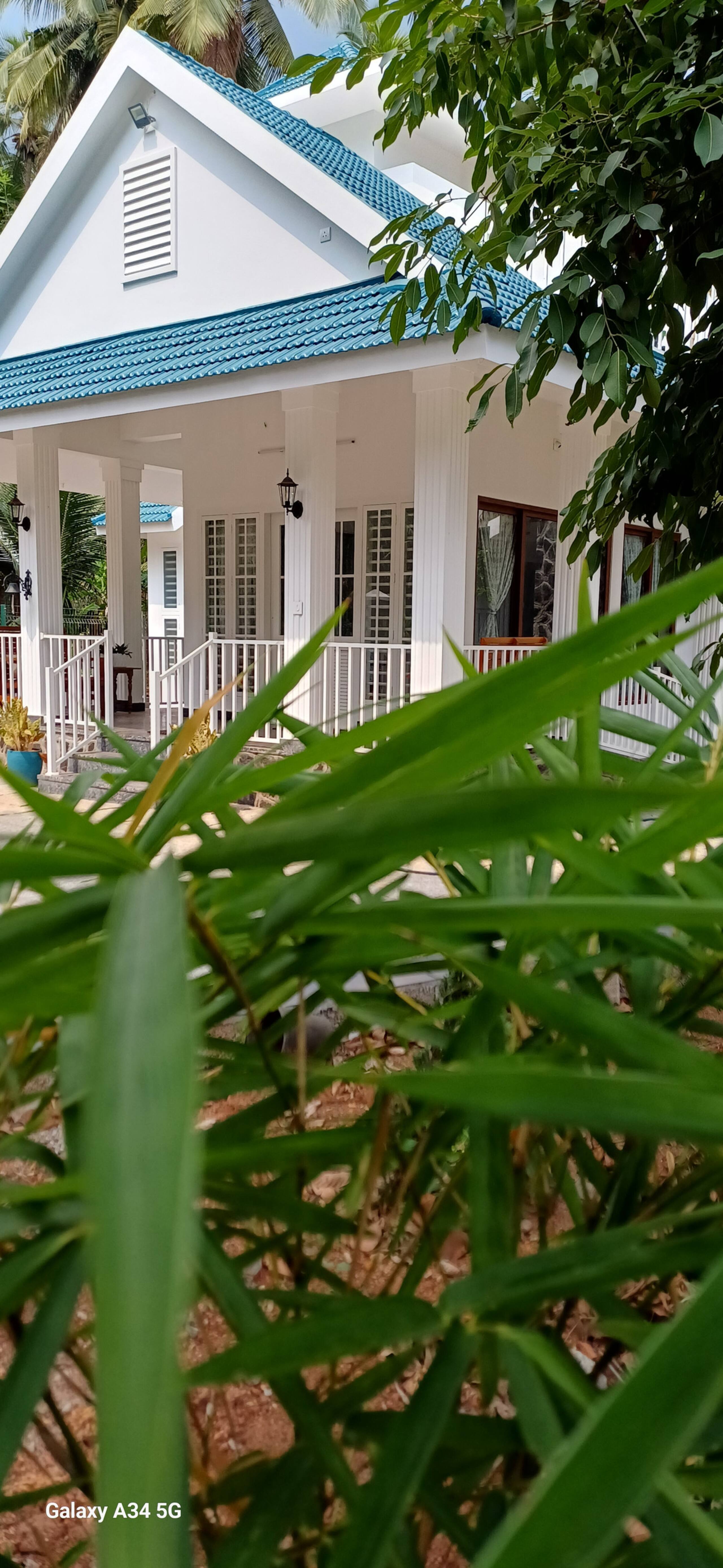 Bougainvilla House Villa in Kozhikode IIM NIT Near 7