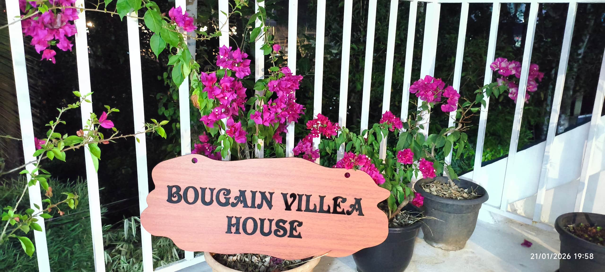 Bougainvilla House Villa in Kozhikode IIM NIT Near 30