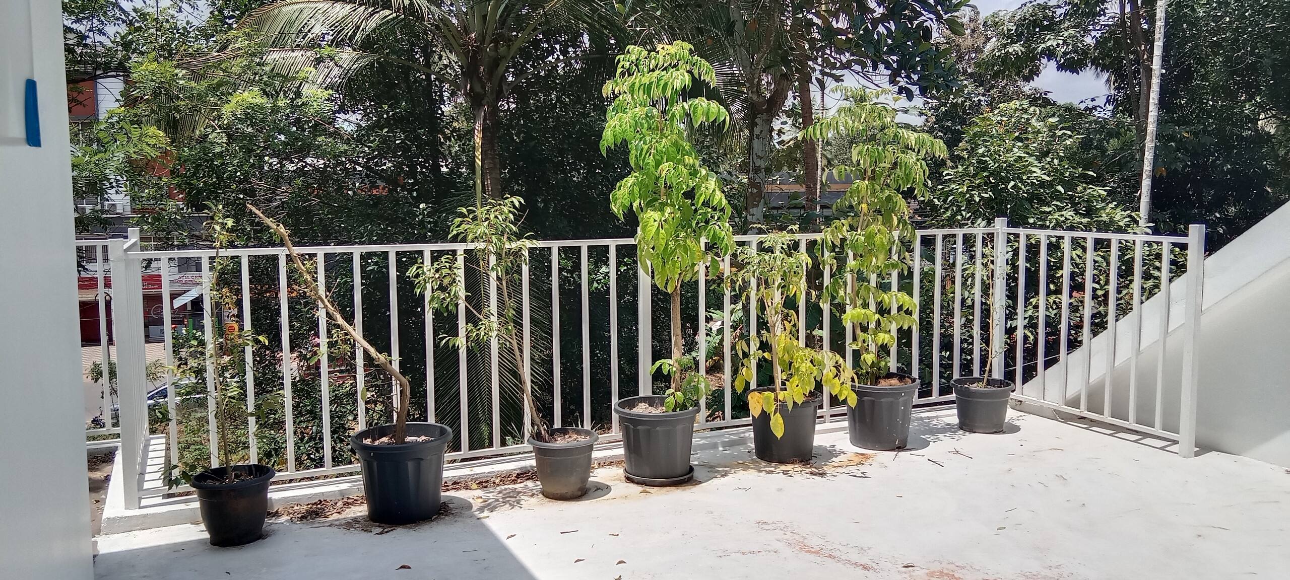 Bougainvilla House Villa in Kozhikode IIM NIT Near 32