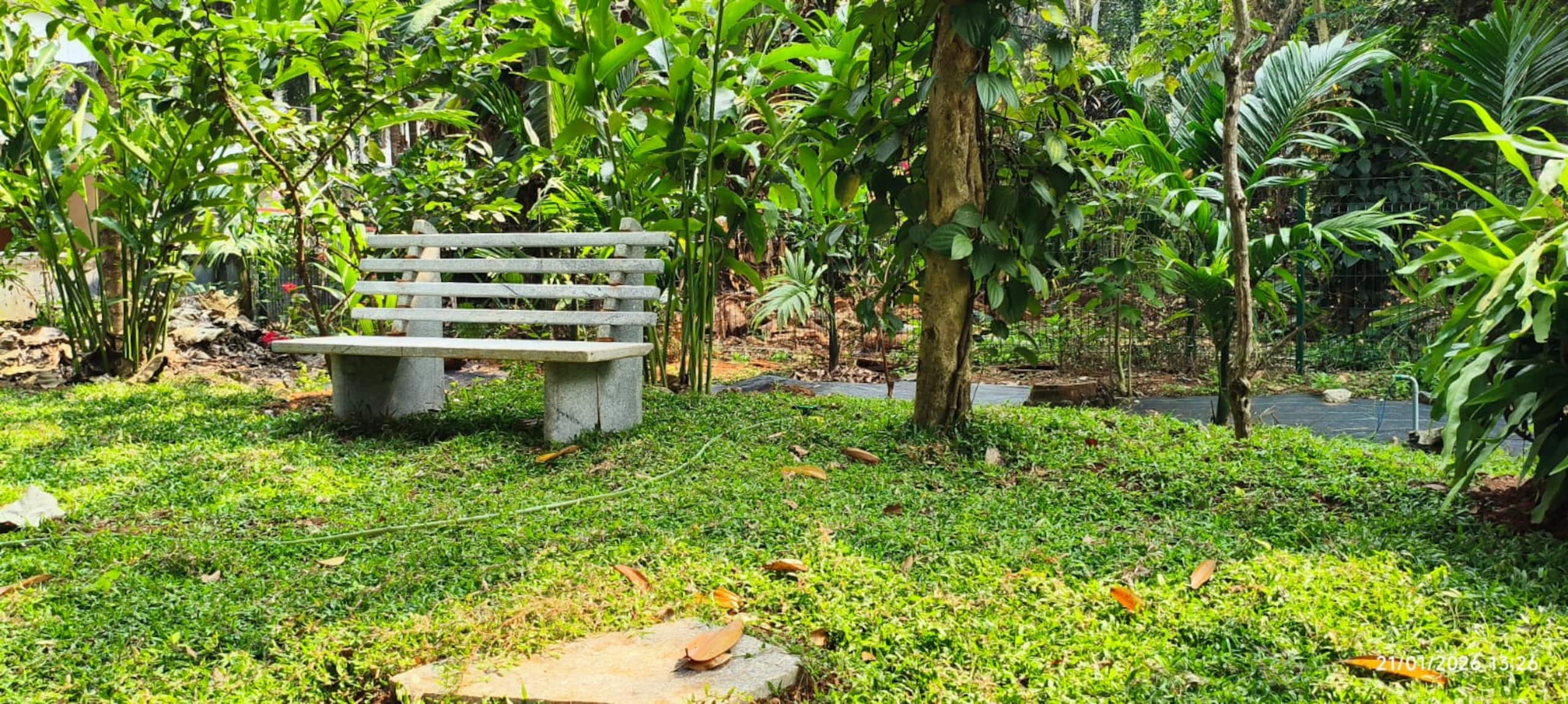 Bougainvilla House Villa in Kozhikode IIM NIT Near 33