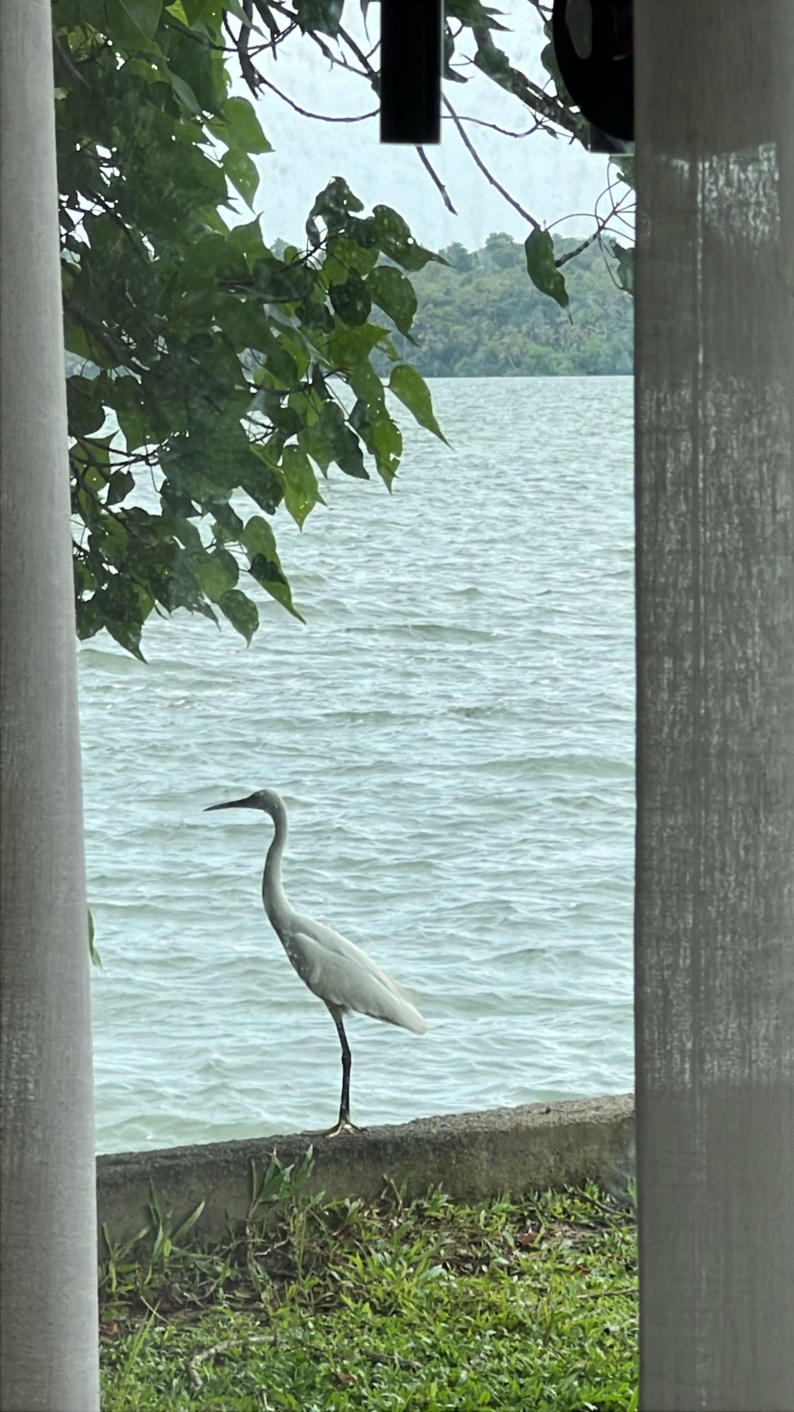 A Glass Haven on the tranquil Munroe Islands 36