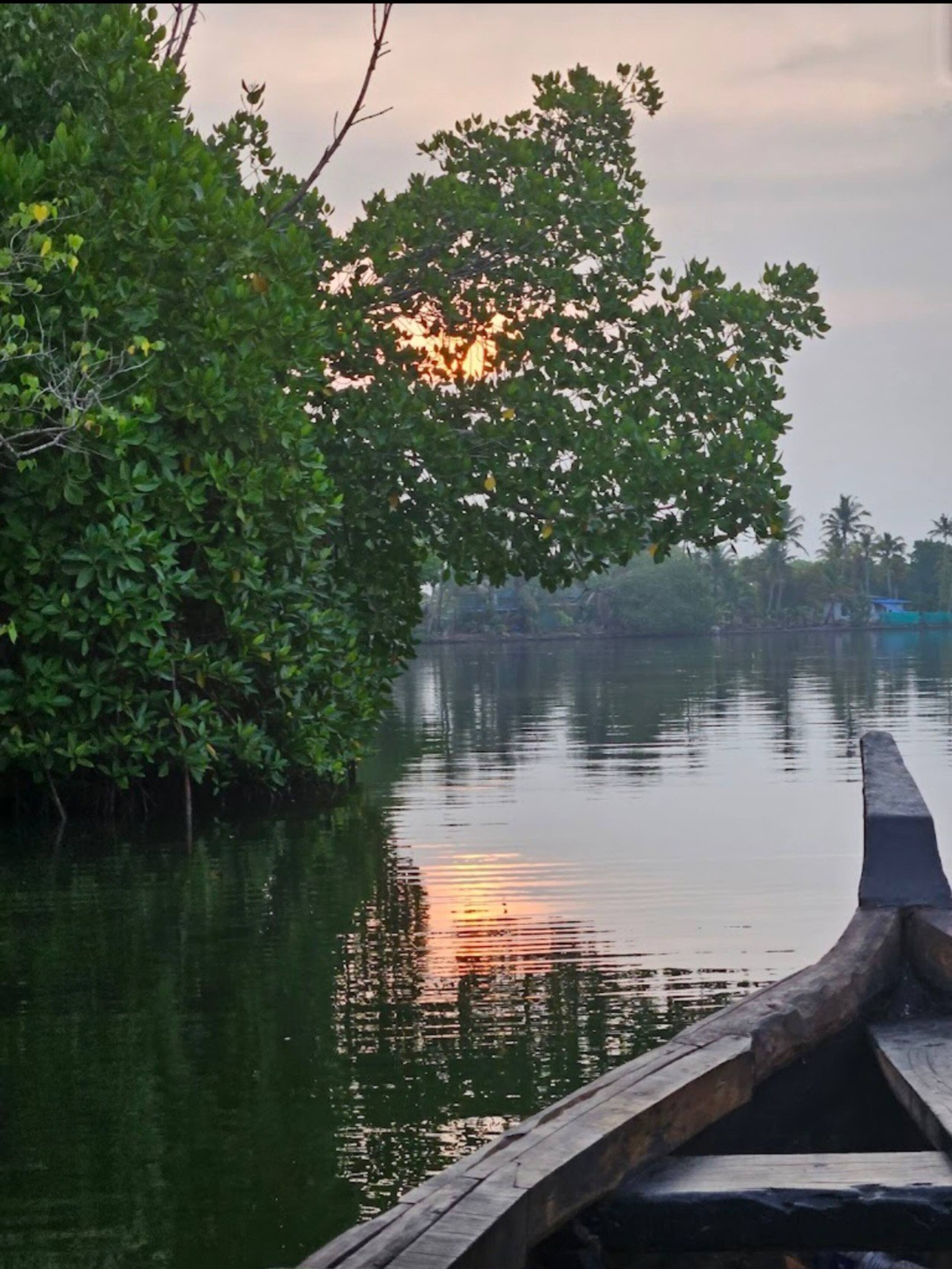 A Glass Haven on the tranquil Munroe Islands 32