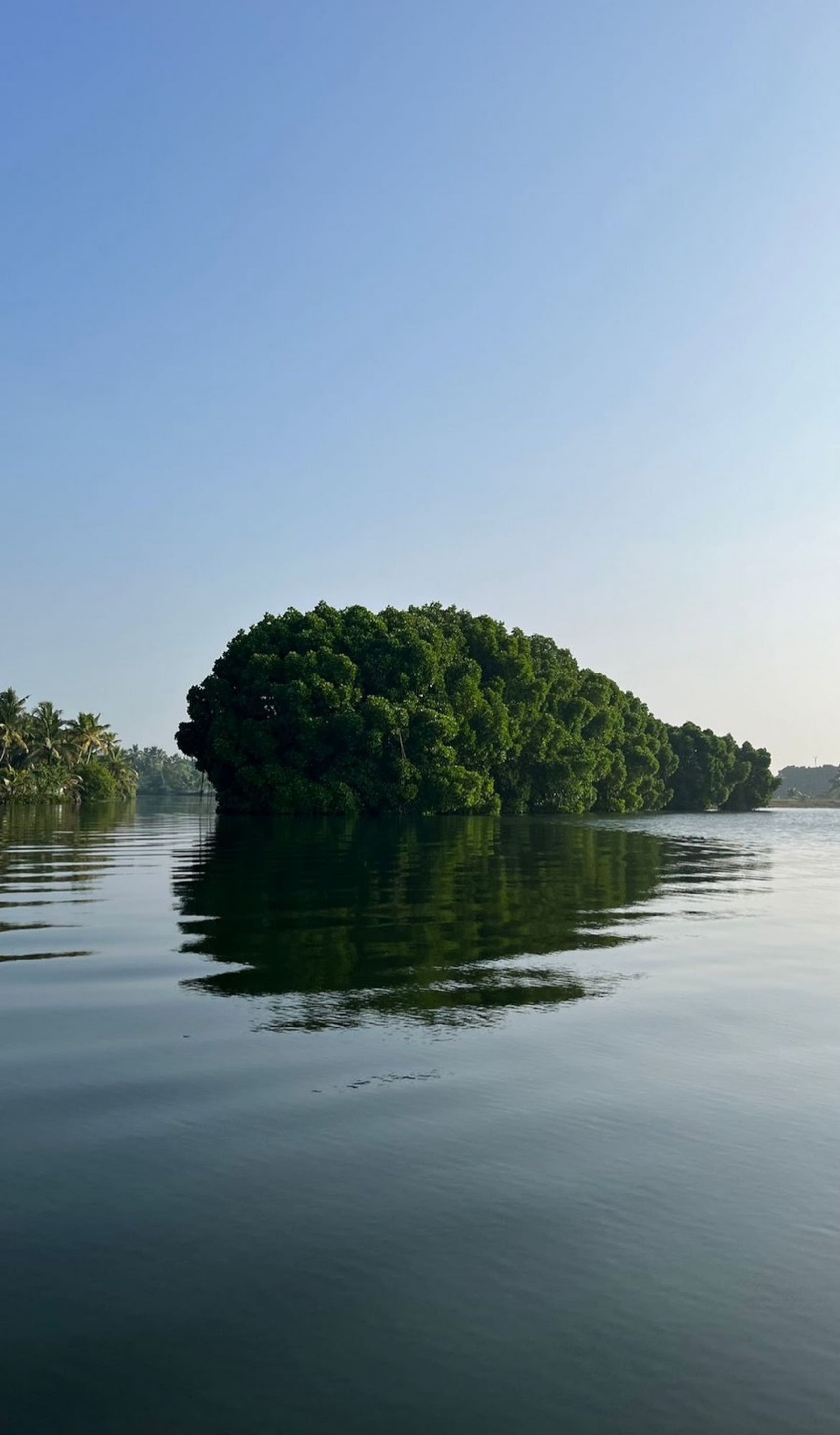 A Glass Haven on the tranquil Munroe Islands 27