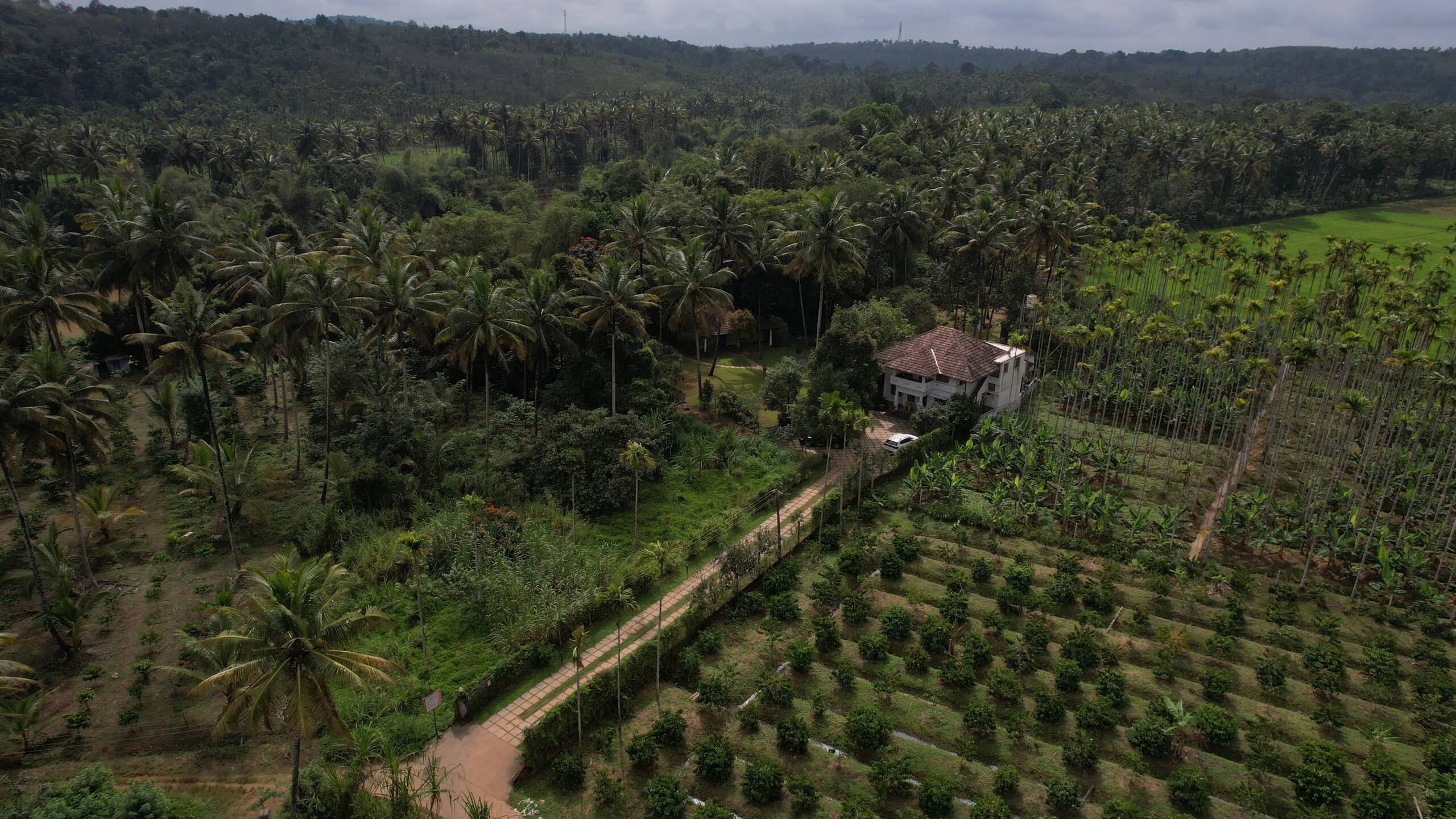 Bastiat Stays| Chettinad Bungalow | Wayanad 23