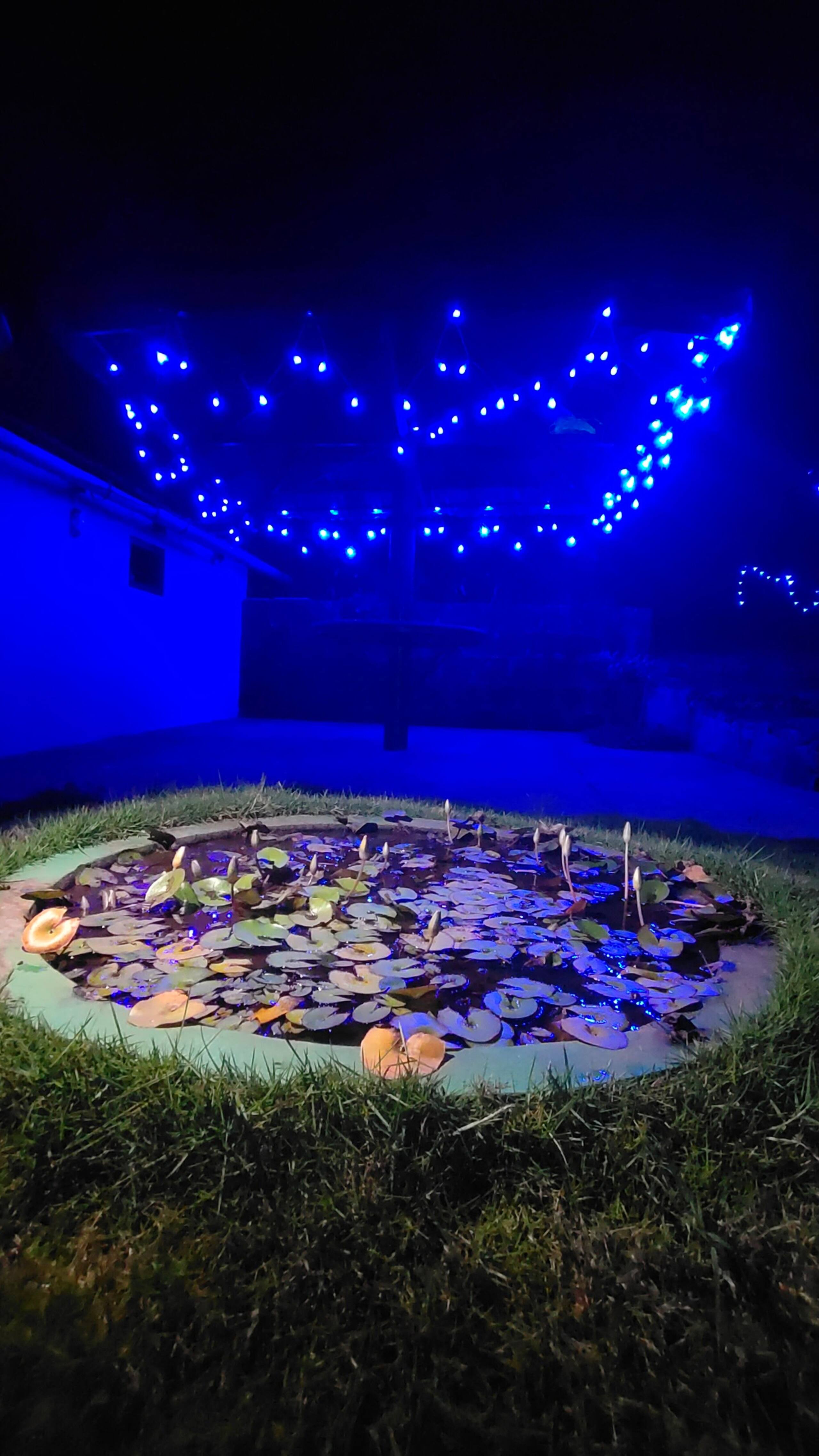 Kandu valley Home stay, Coorg 25