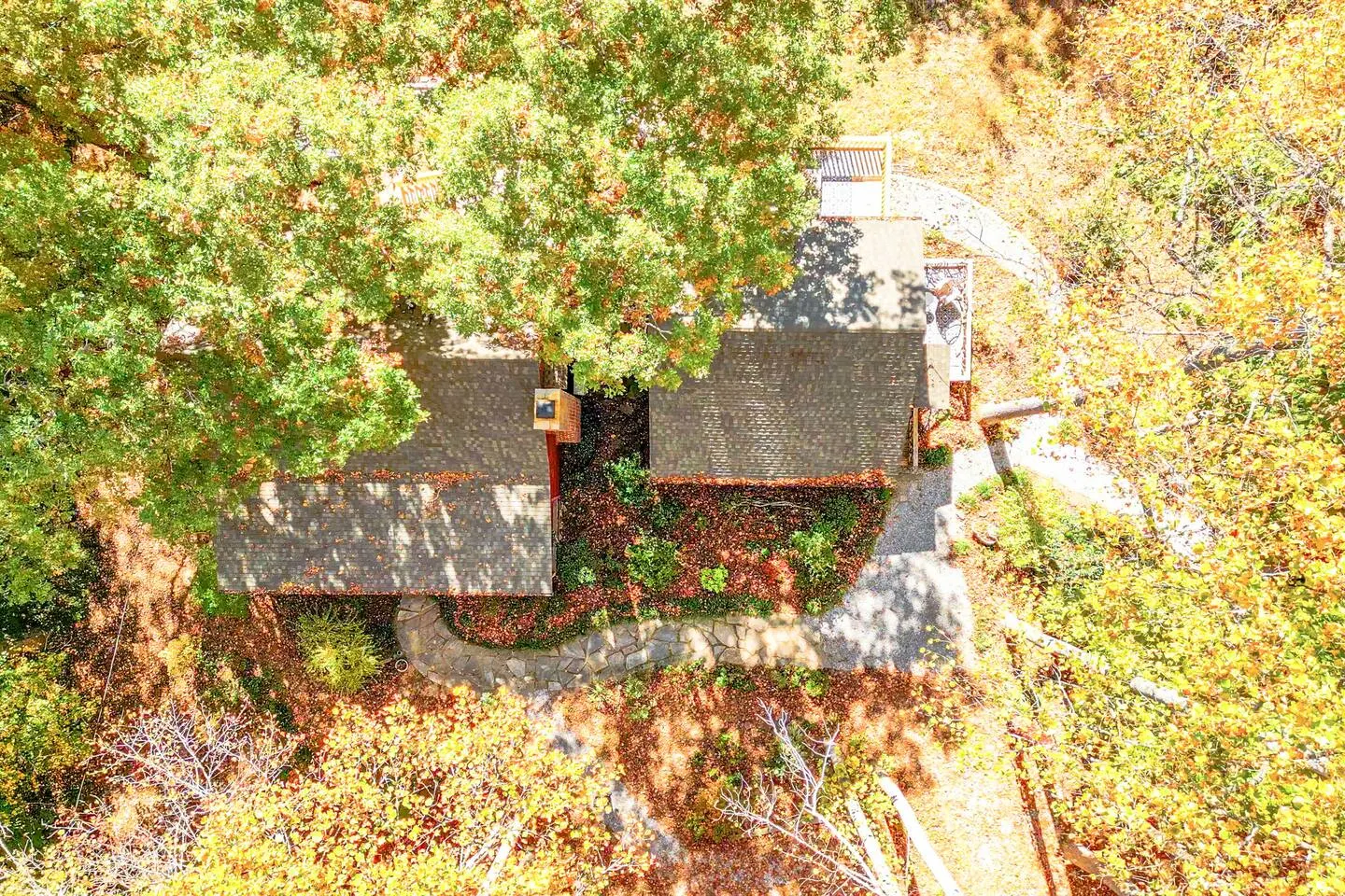 Forest Haven Private Deck Teak Master Suite 16