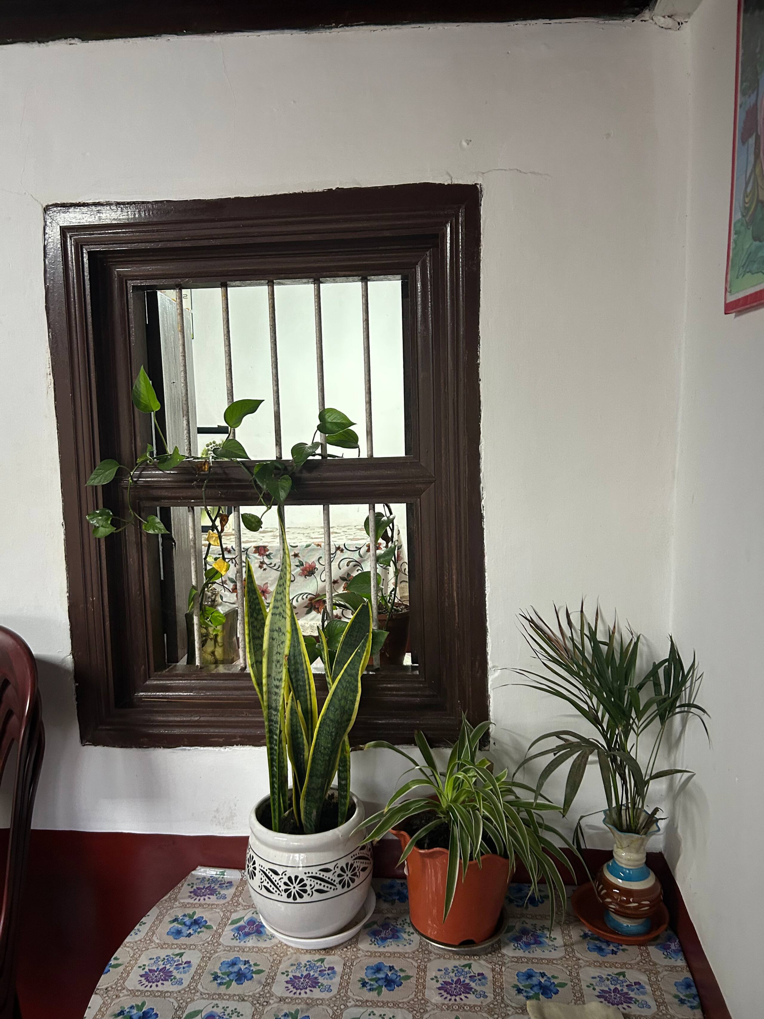 Coffee Vana Vintage Inn 29