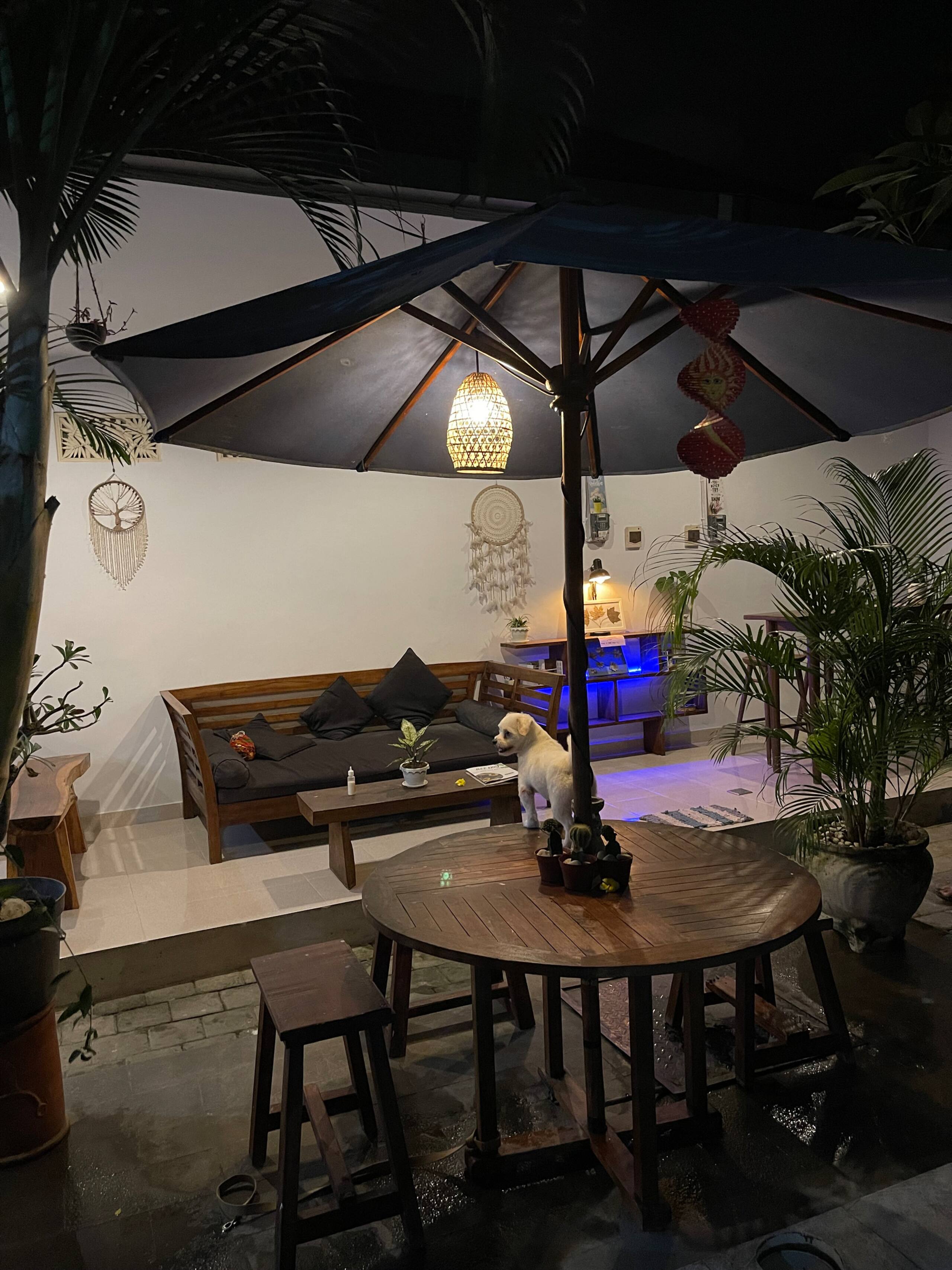 Canggu Nadi Guest House 7 Standard Bed 12
