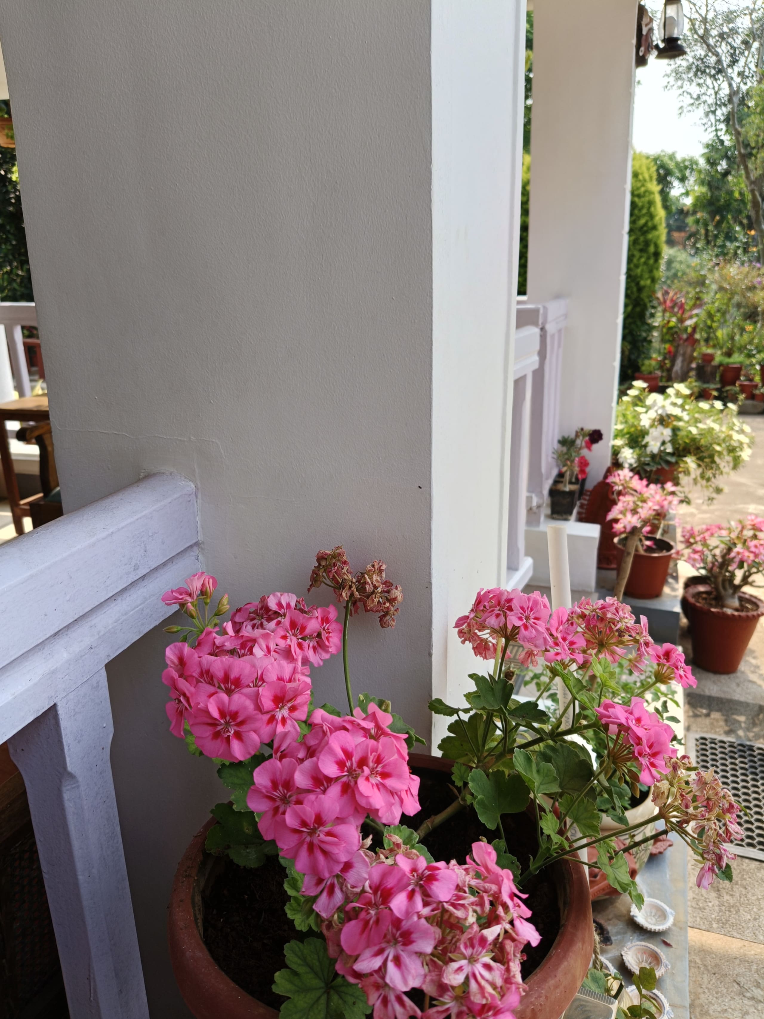 Cozy Haven at the Blue Mountains Estate stay 22