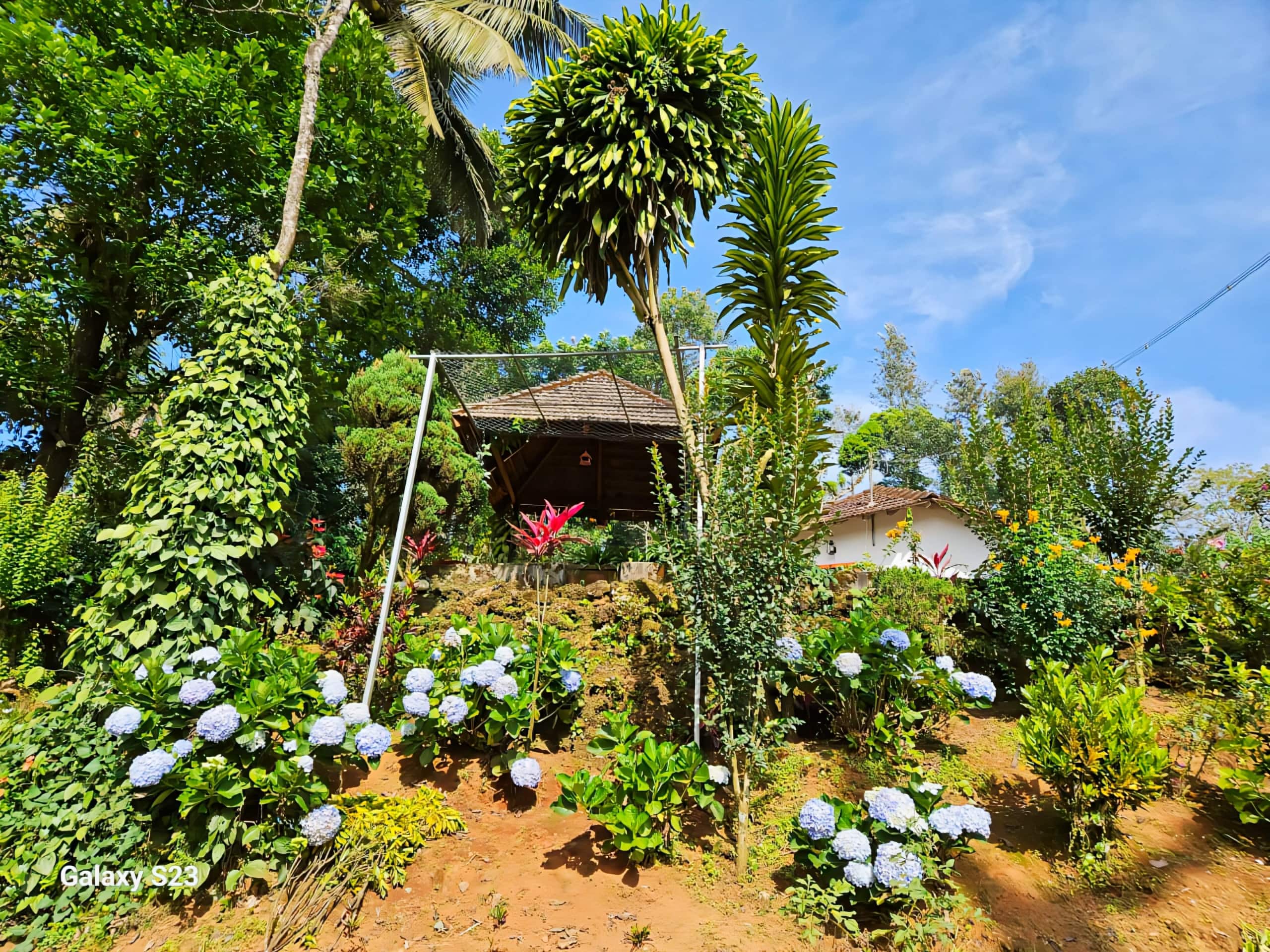 Cozy Haven at the Blue Mountains Estate stay 12