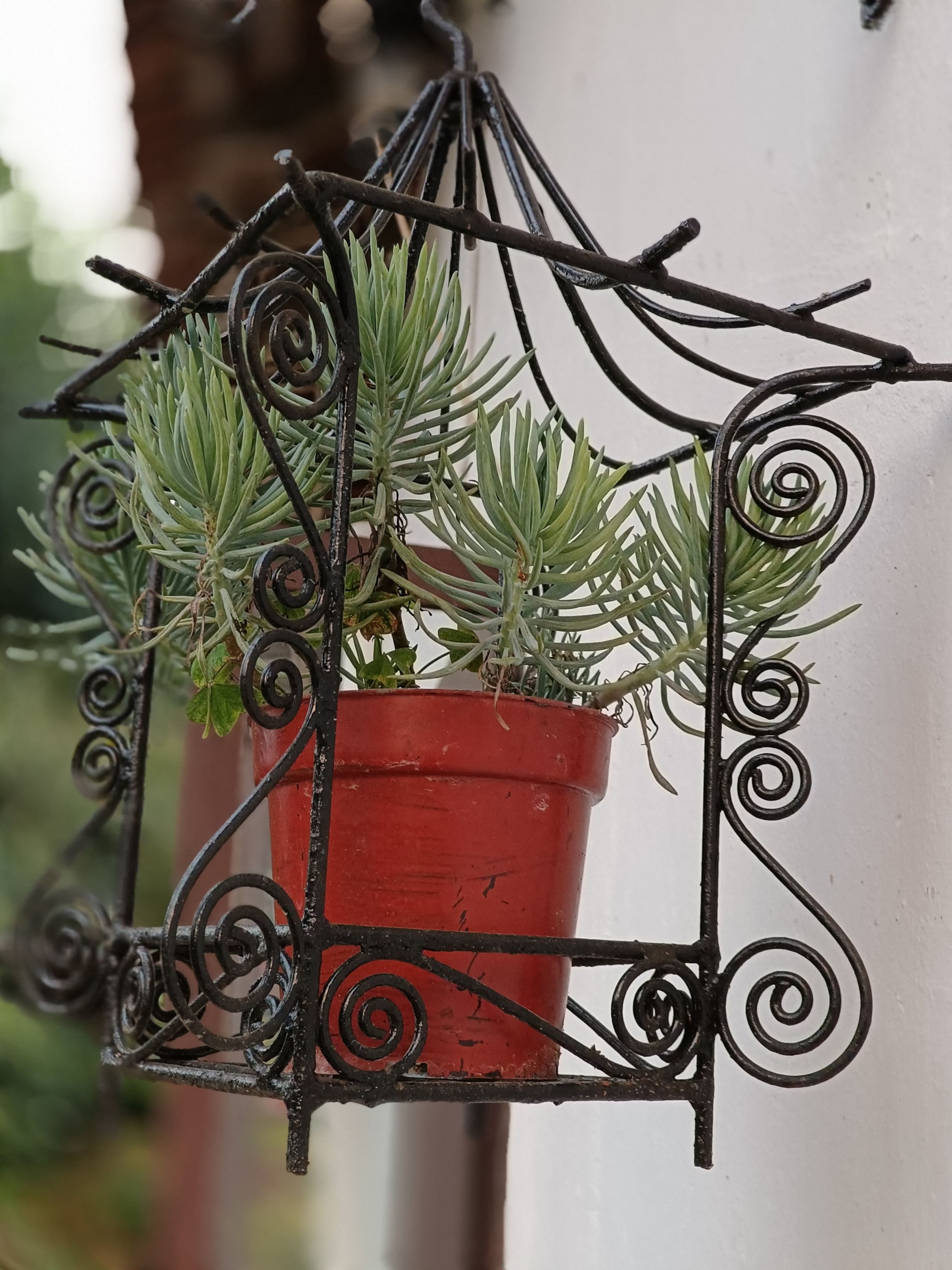 Cozy Haven at the Blue Mountains Estate stay 28