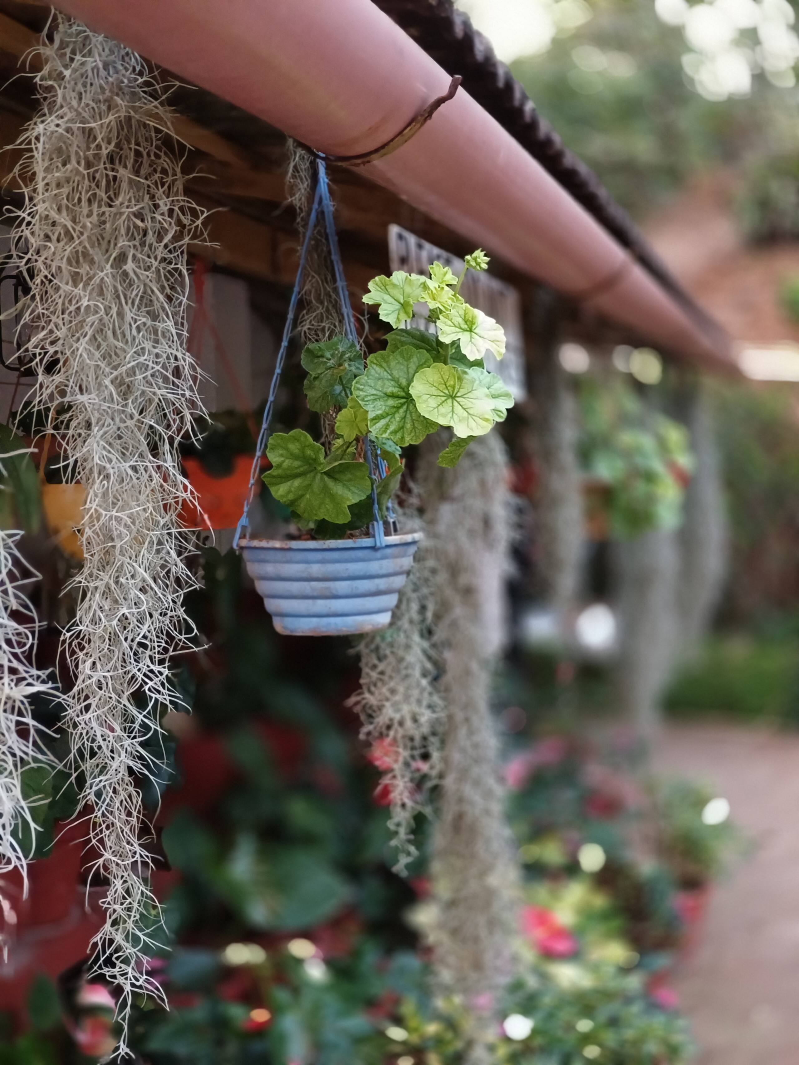 Cozy Haven at the Blue Mountains Estate stay 34