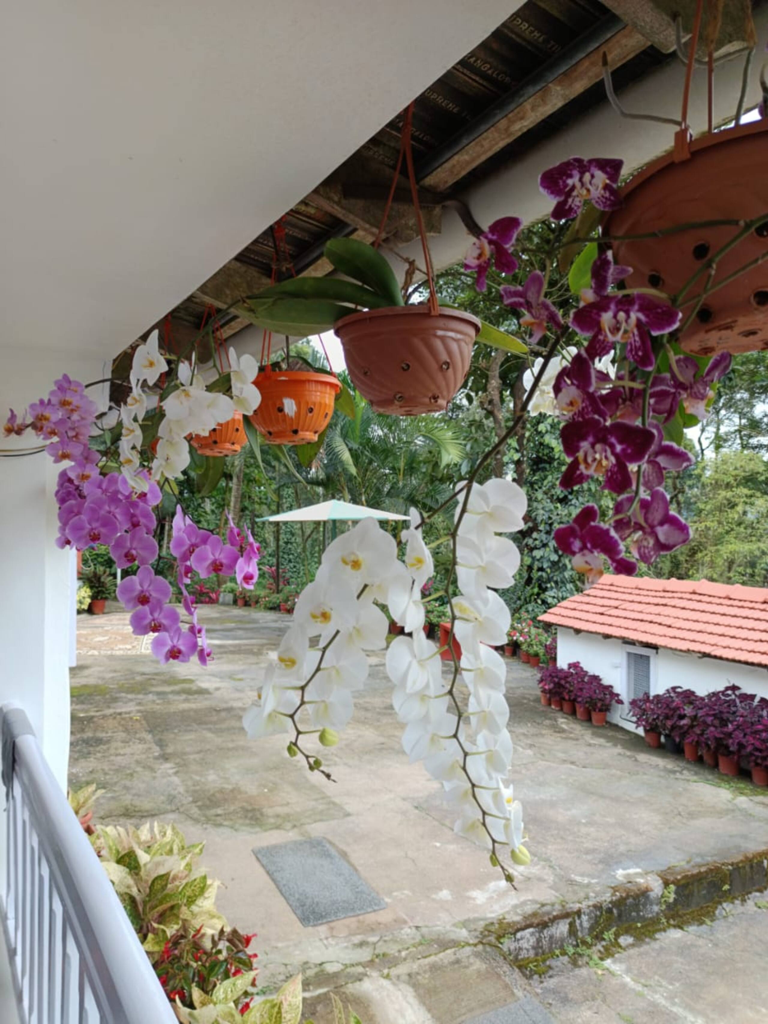 Cozy Haven at the Blue Mountains Estate stay 35